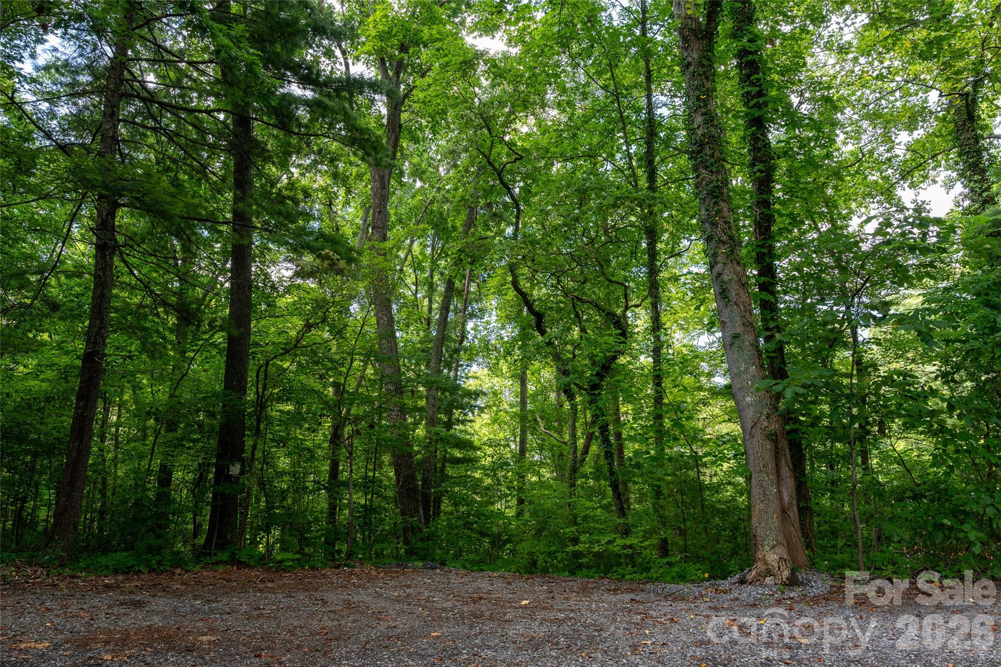 99999 Buffalo Trail 86 Property Photo 12