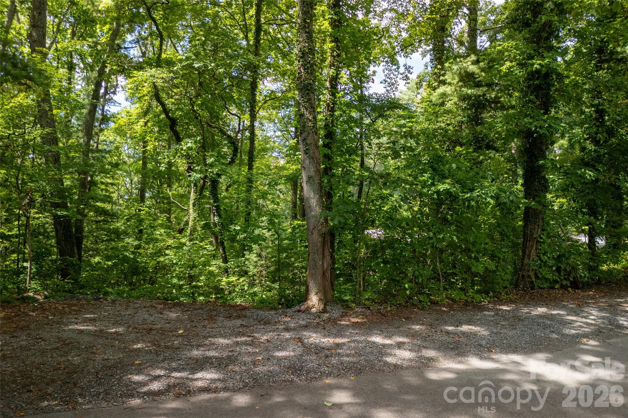 99999 Buffalo Trail 86 Property Photo 13