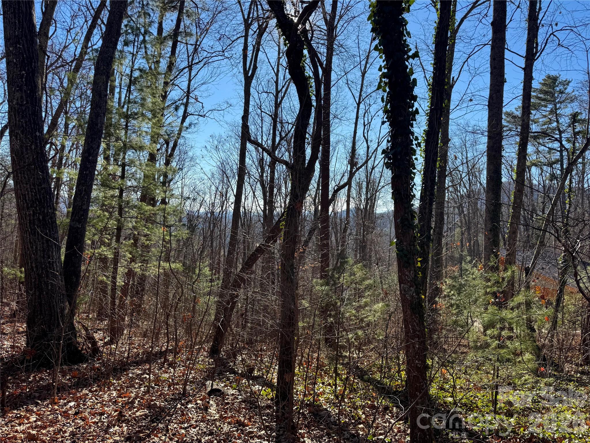 99999 Buffalo Trail 86 Property Photo 14