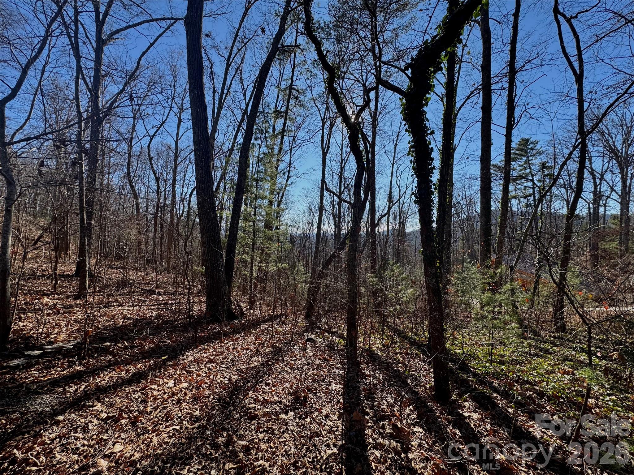 99999 Buffalo Trail 86 Property Photo 15
