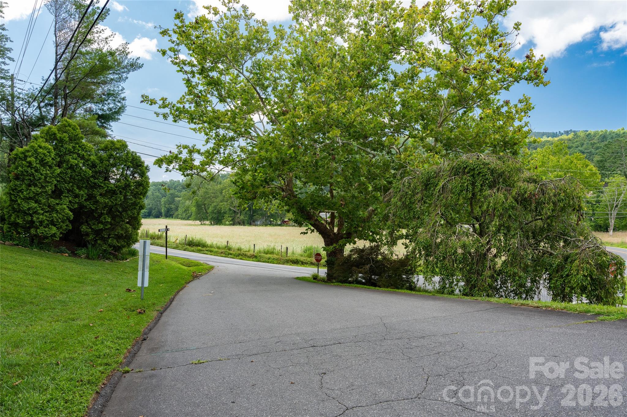 99999 Buffalo Trail 86 Property Photo 16