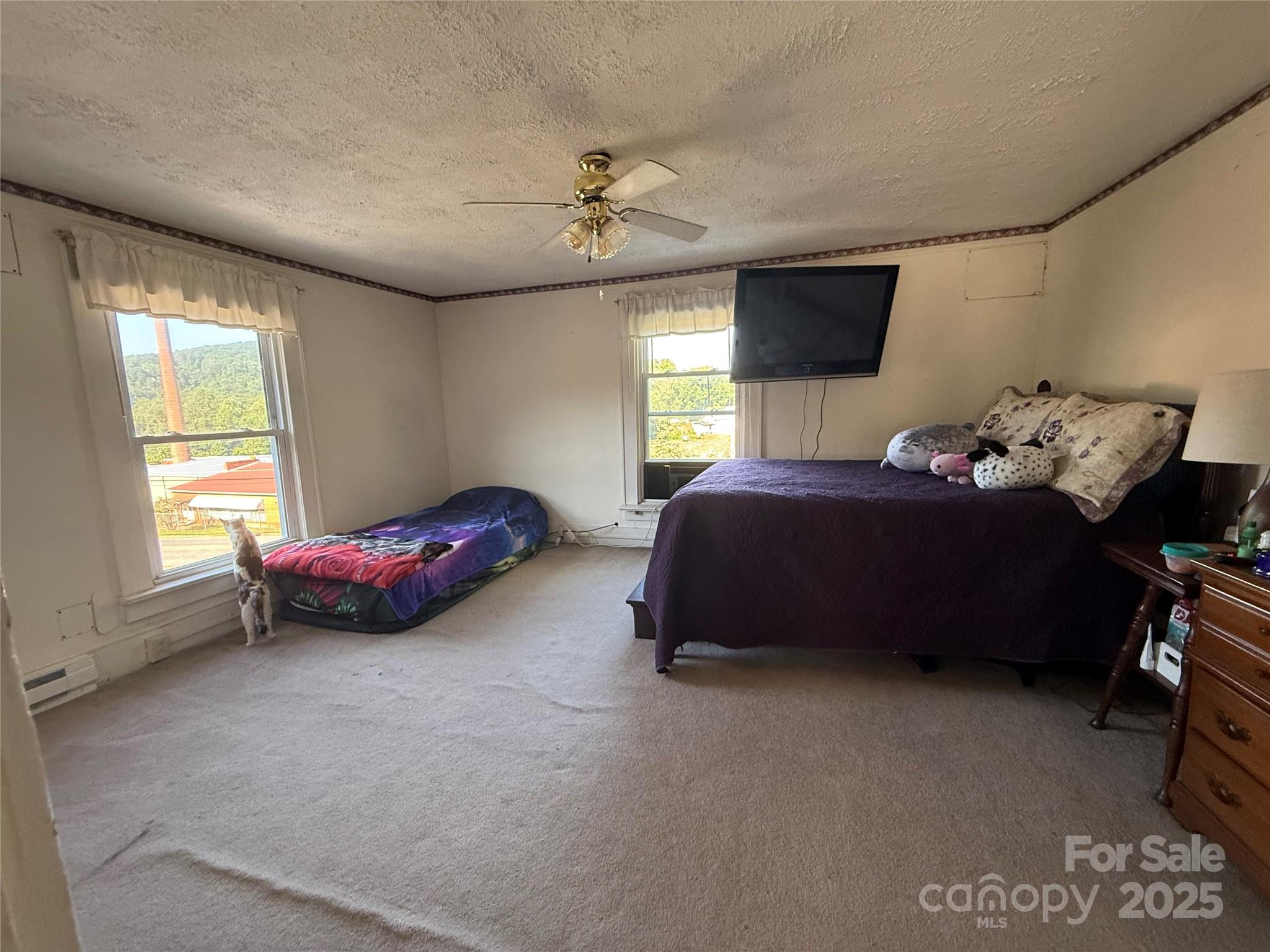 17 3rd Street Property Photo 15
