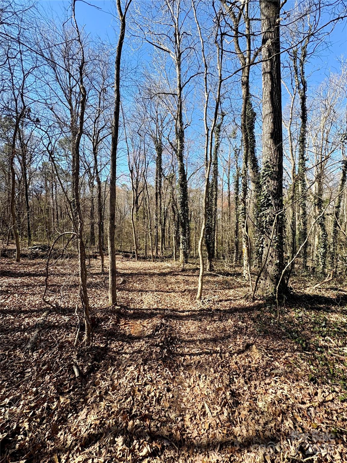 1417 Ellis Griffin Road Property Photo 4