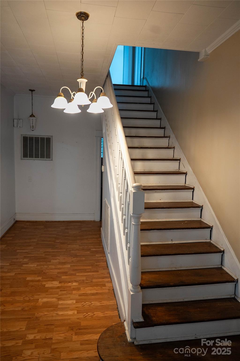 229 Marion Street Property Photo 3