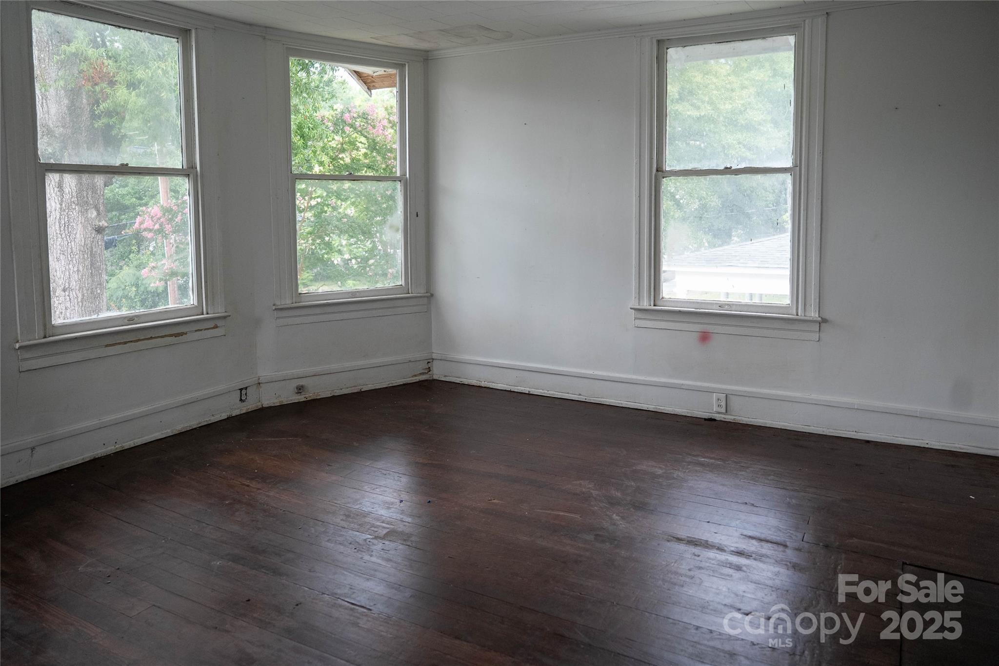 229 Marion Street Property Photo 16