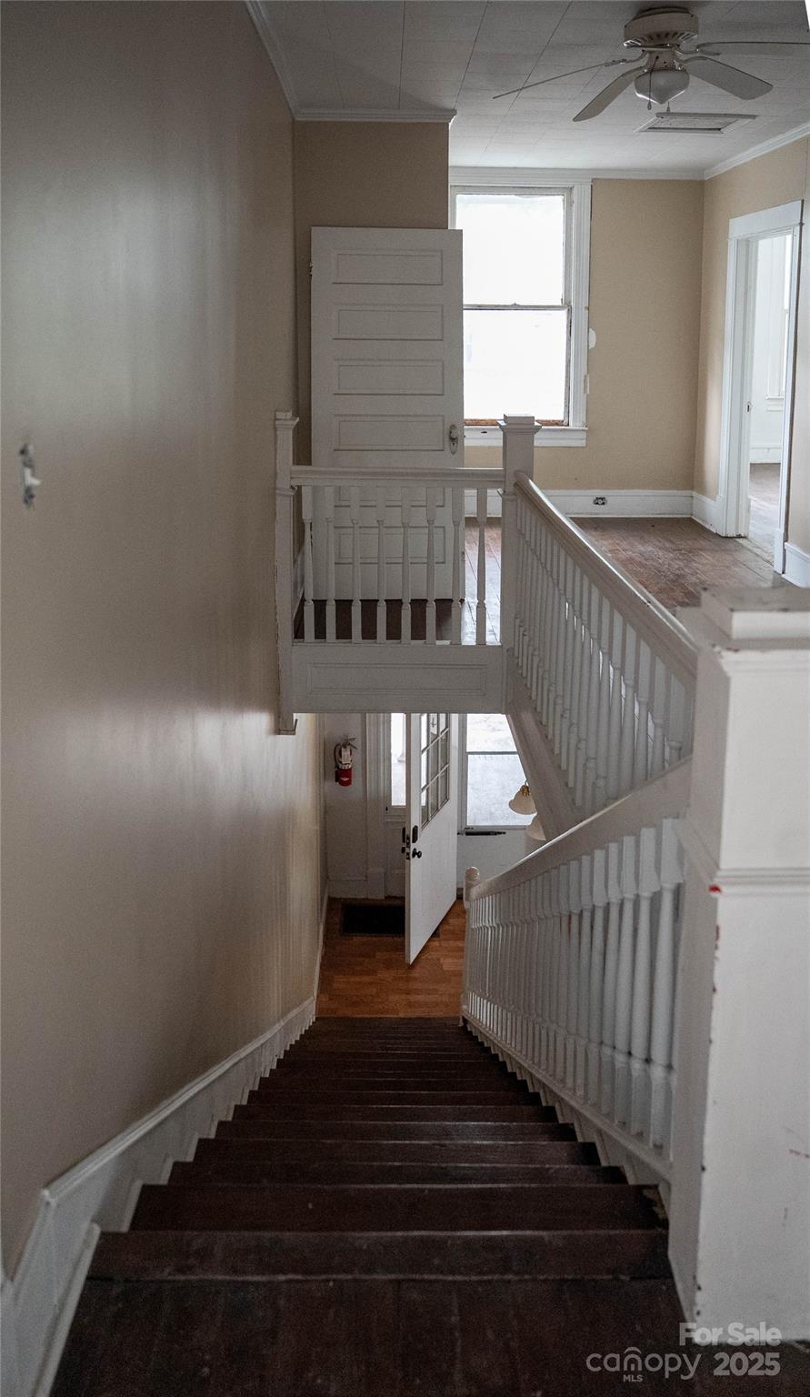 229 Marion Street Property Photo 20