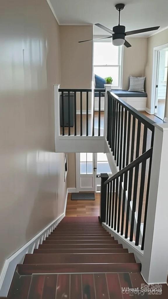 229 Marion Street Property Photo 21