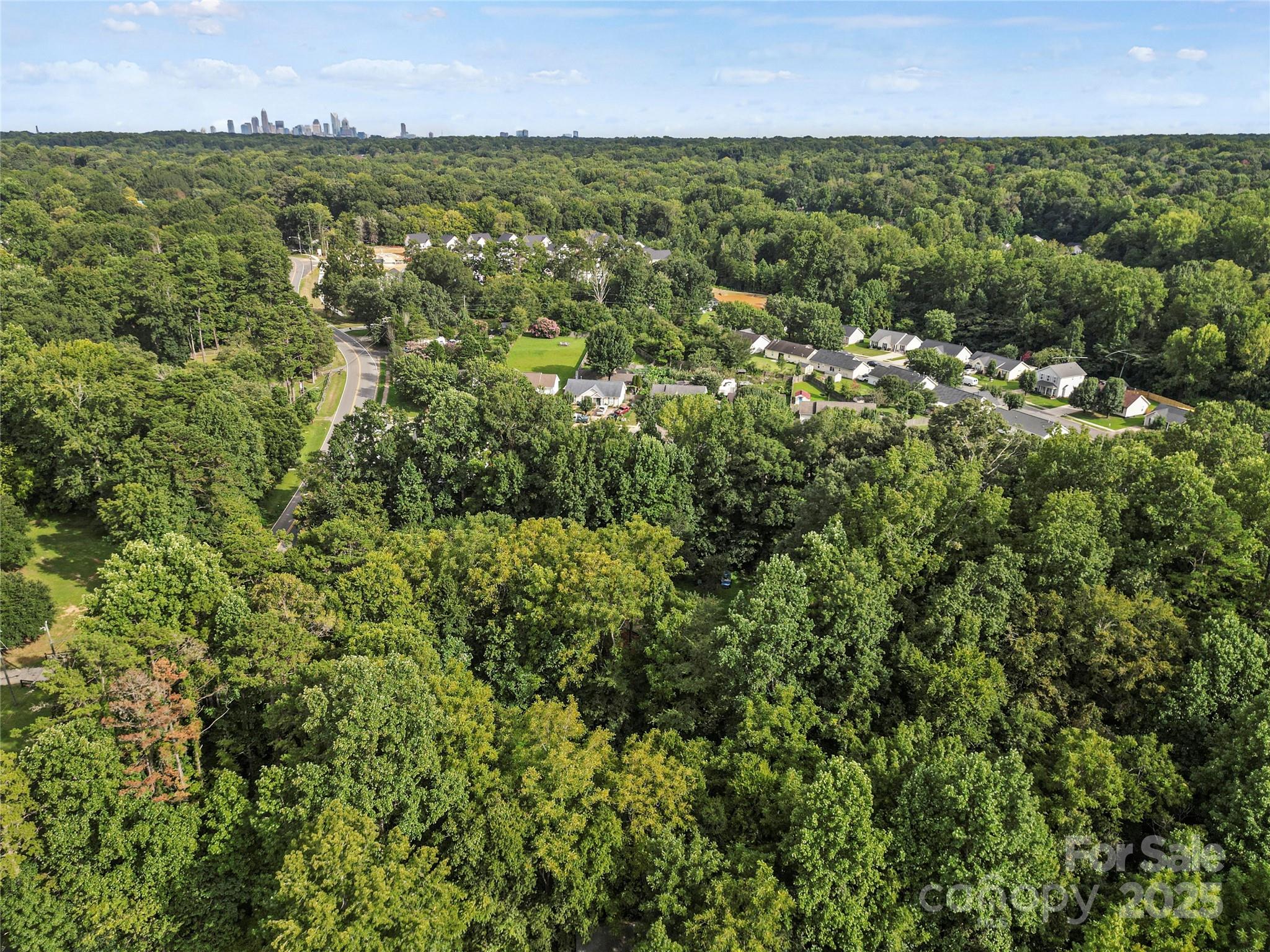 6109 Paw Creek Road Property Photo 6
