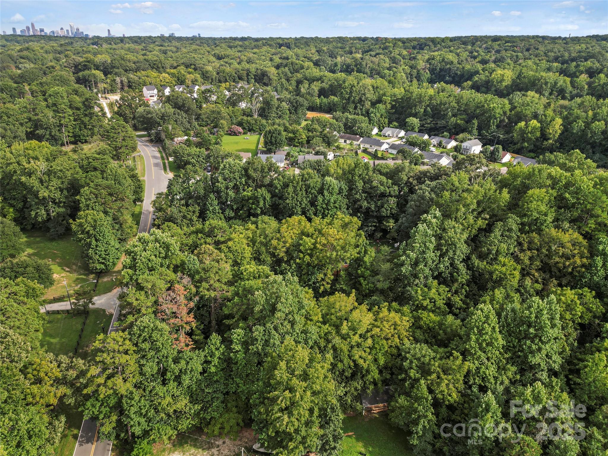 6109 Paw Creek Road Property Photo 14