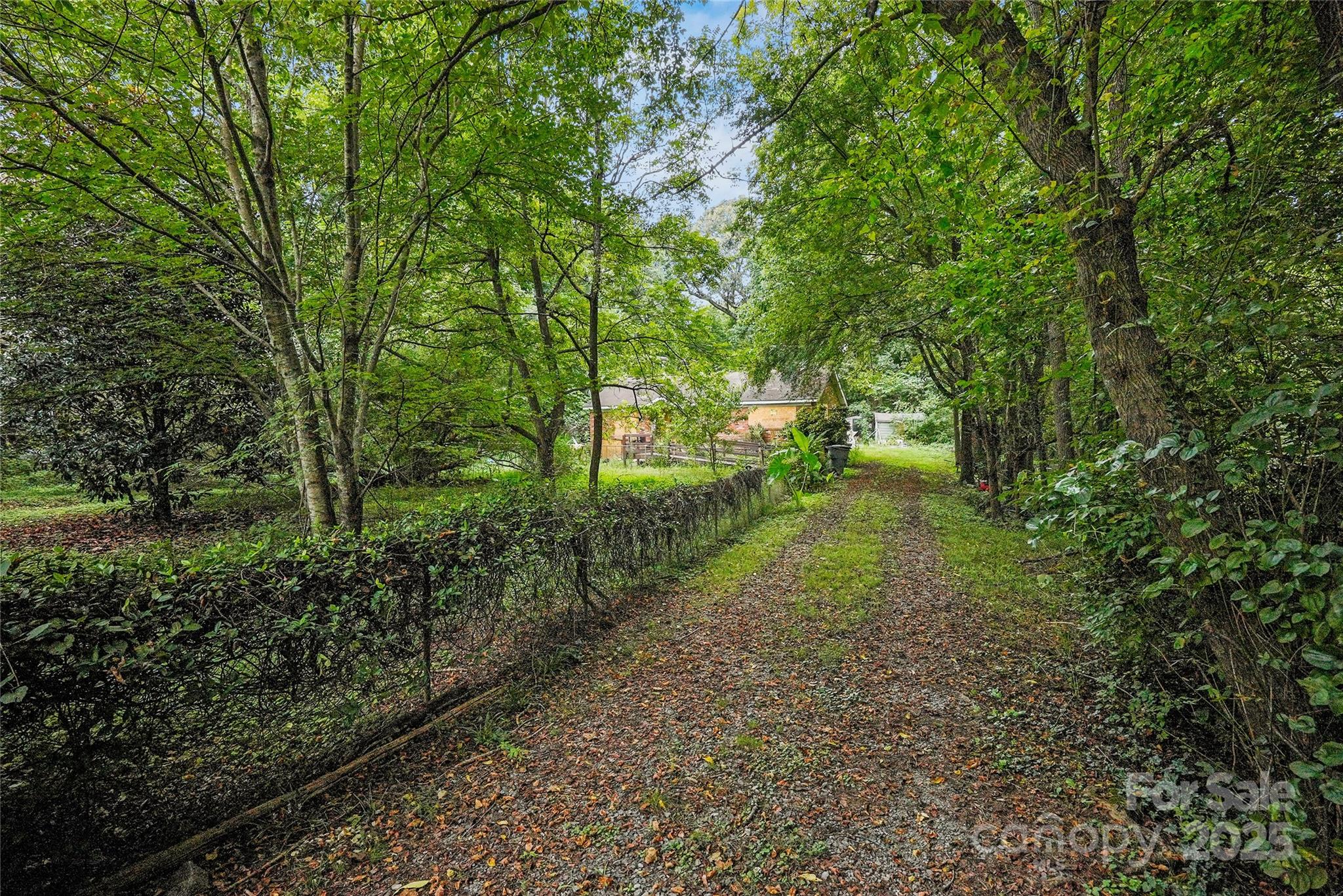 6109 Paw Creek Road Property Photo 19