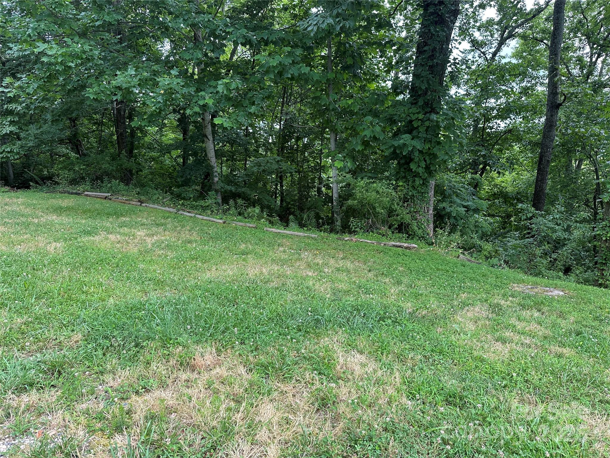 109 Ladys Fern Trail Property Photo 2