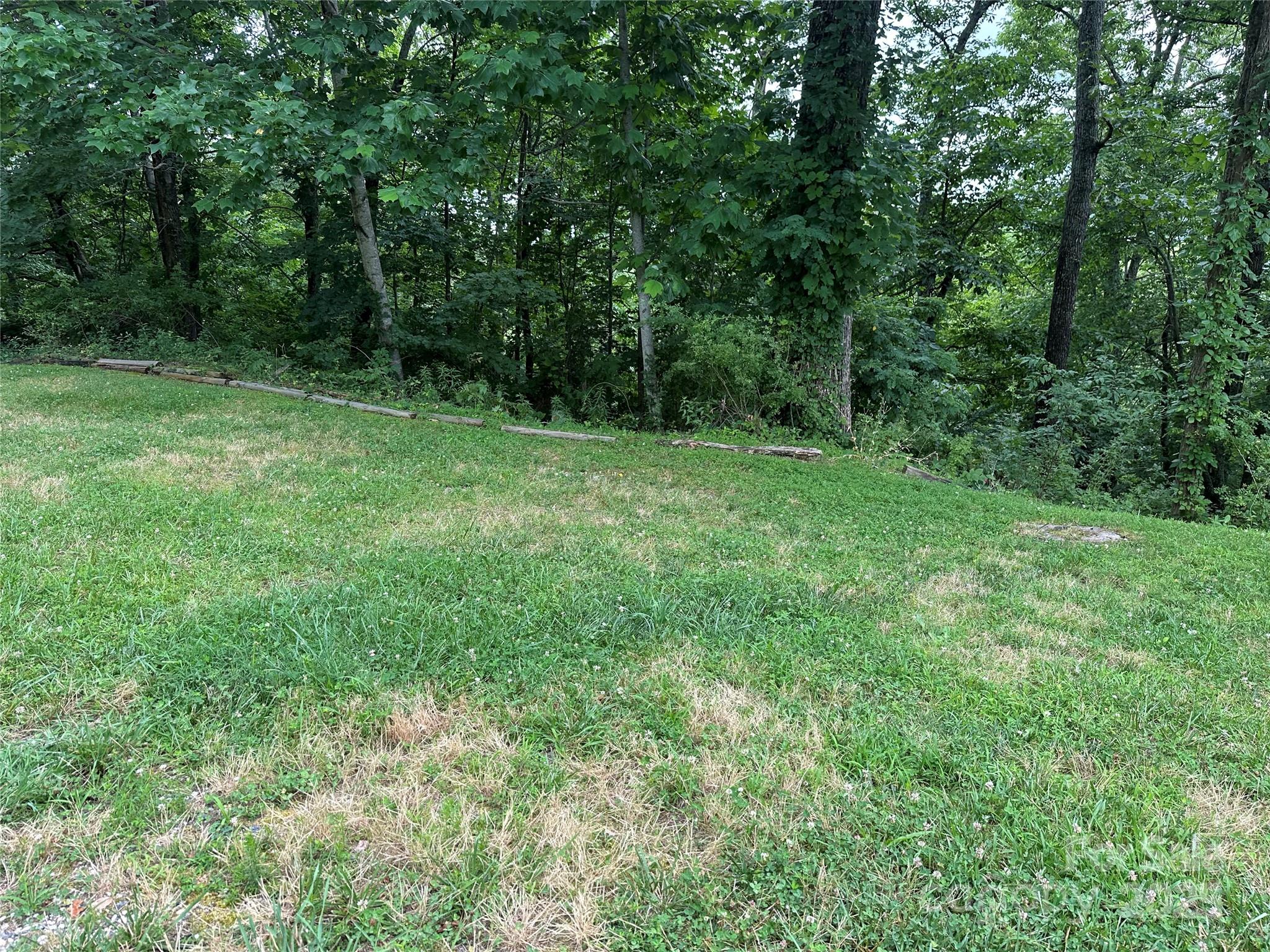 109 Ladys Fern Trail Property Photo 3