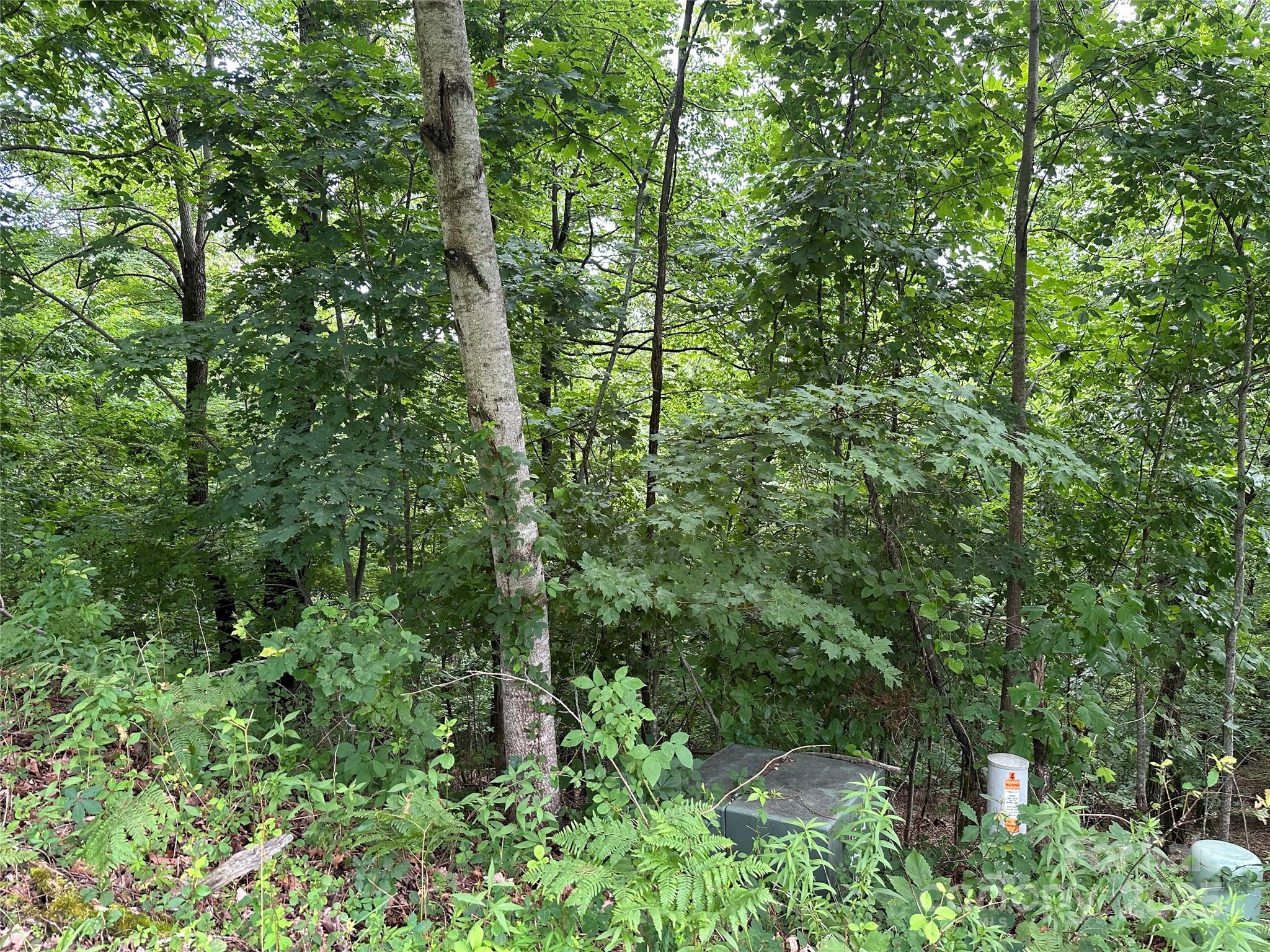 109 Ladys Fern Trail Property Photo 4