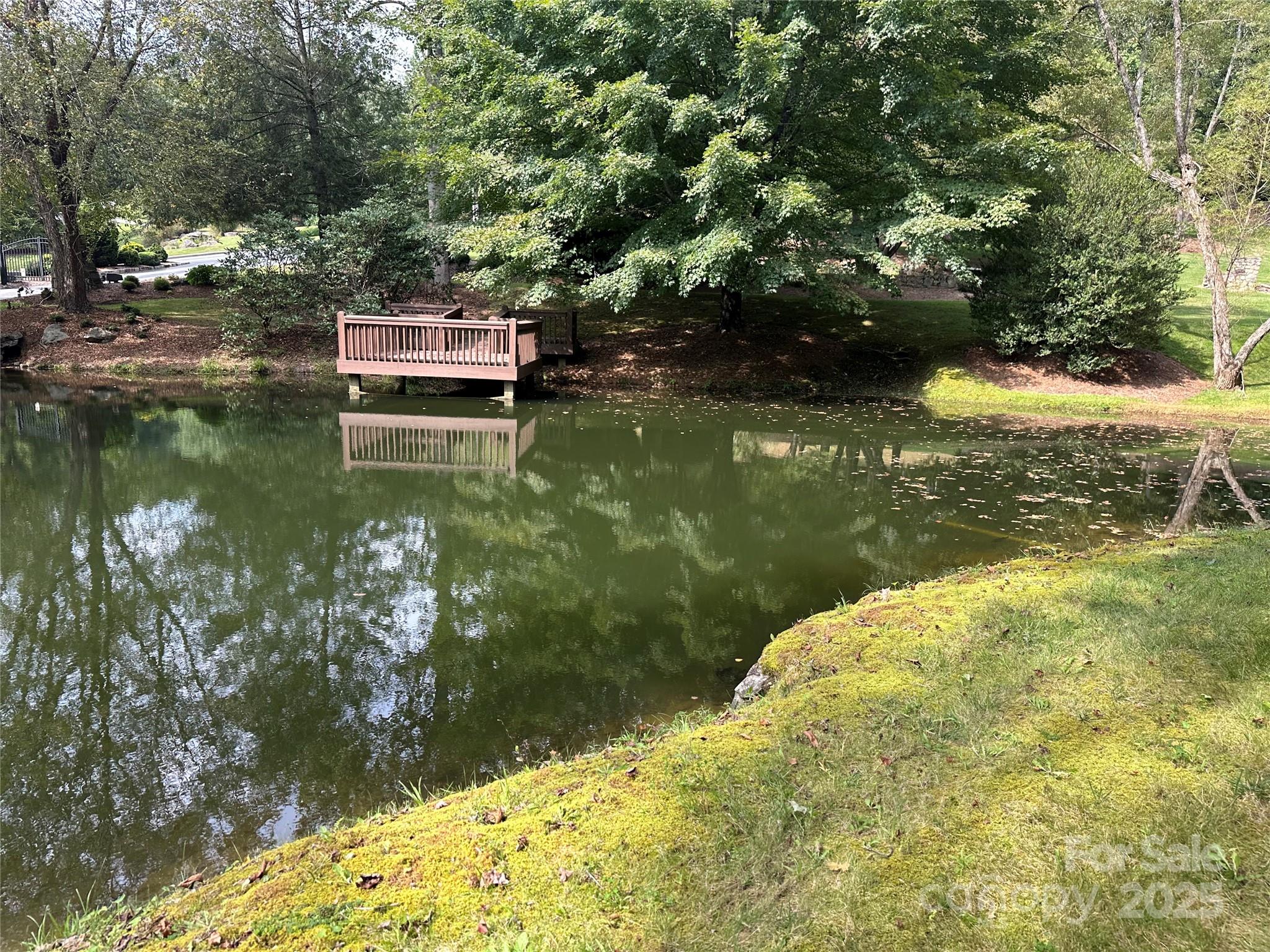 109 Ladys Fern Trail Property Photo 6