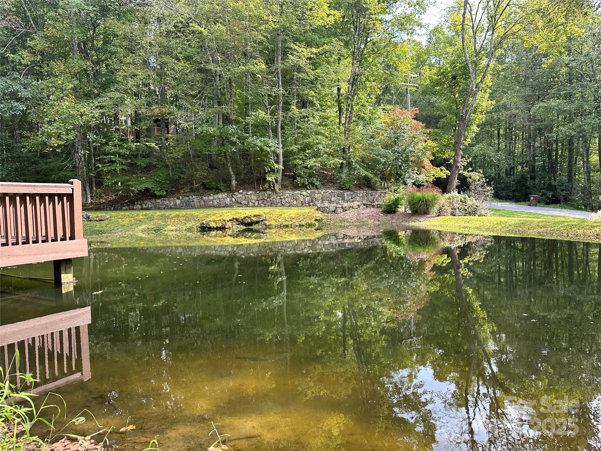 109 Ladys Fern Trail Property Photo 7