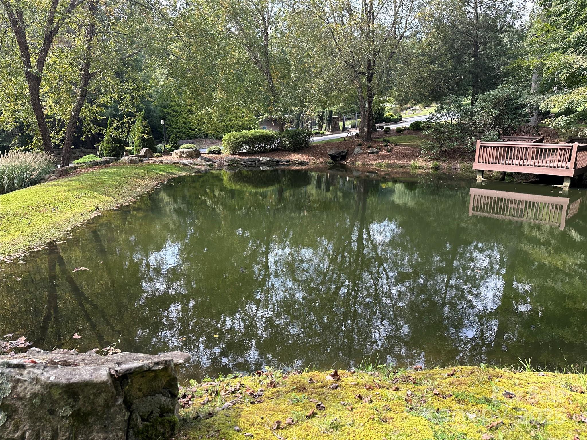 109 Ladys Fern Trail Property Photo 8