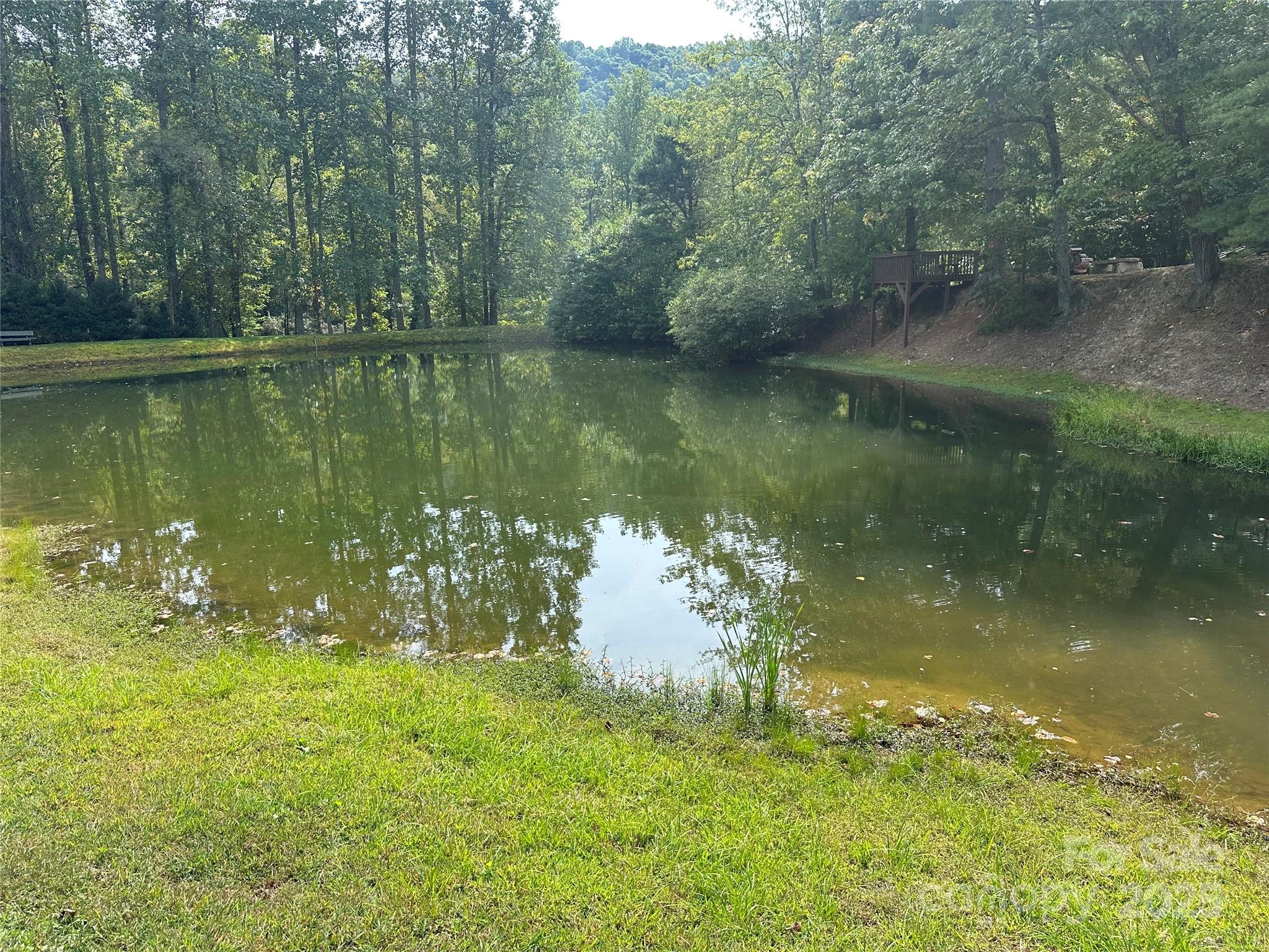 109 Ladys Fern Trail Property Photo 16