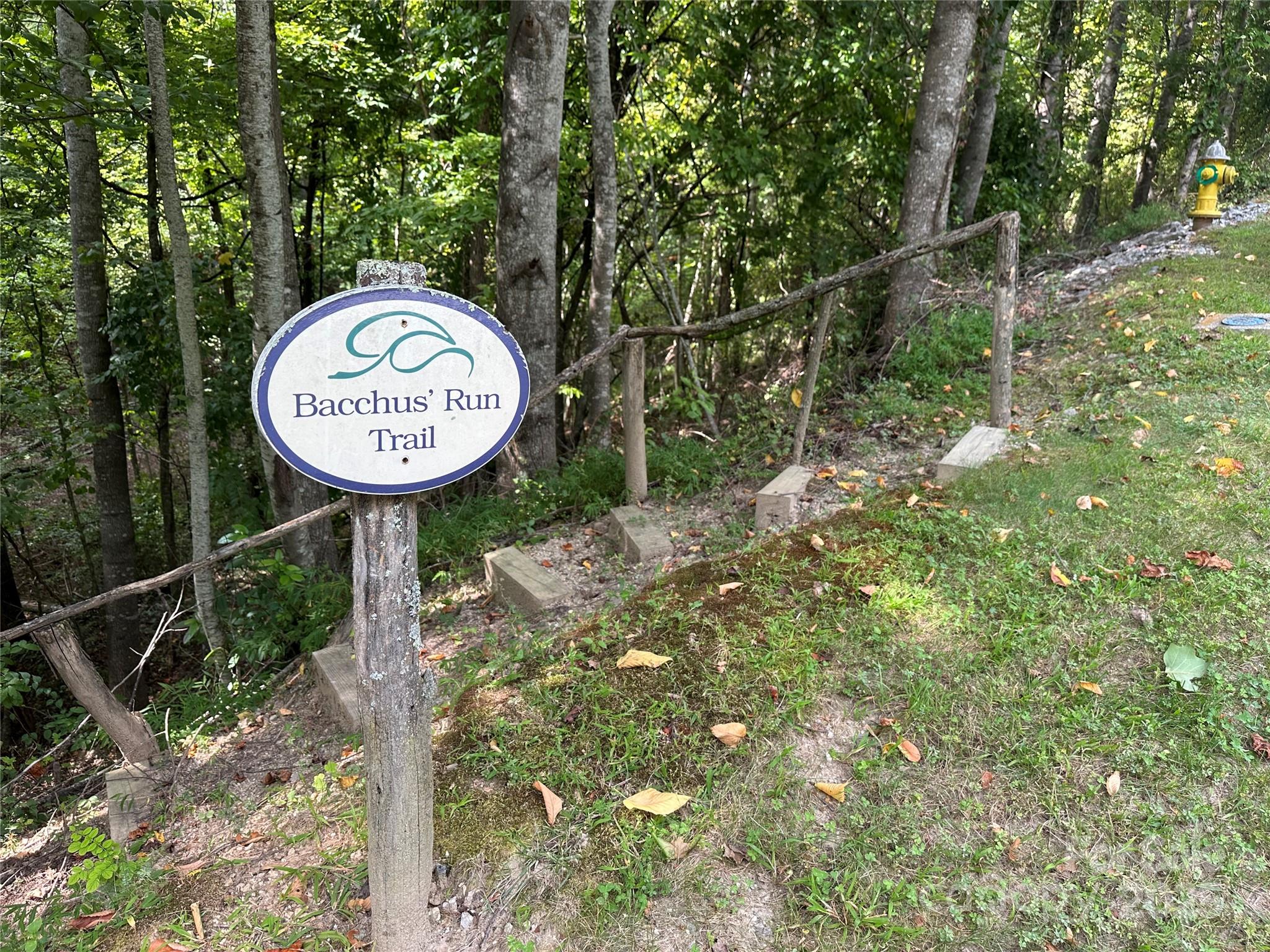 109 Ladys Fern Trail Property Photo 17