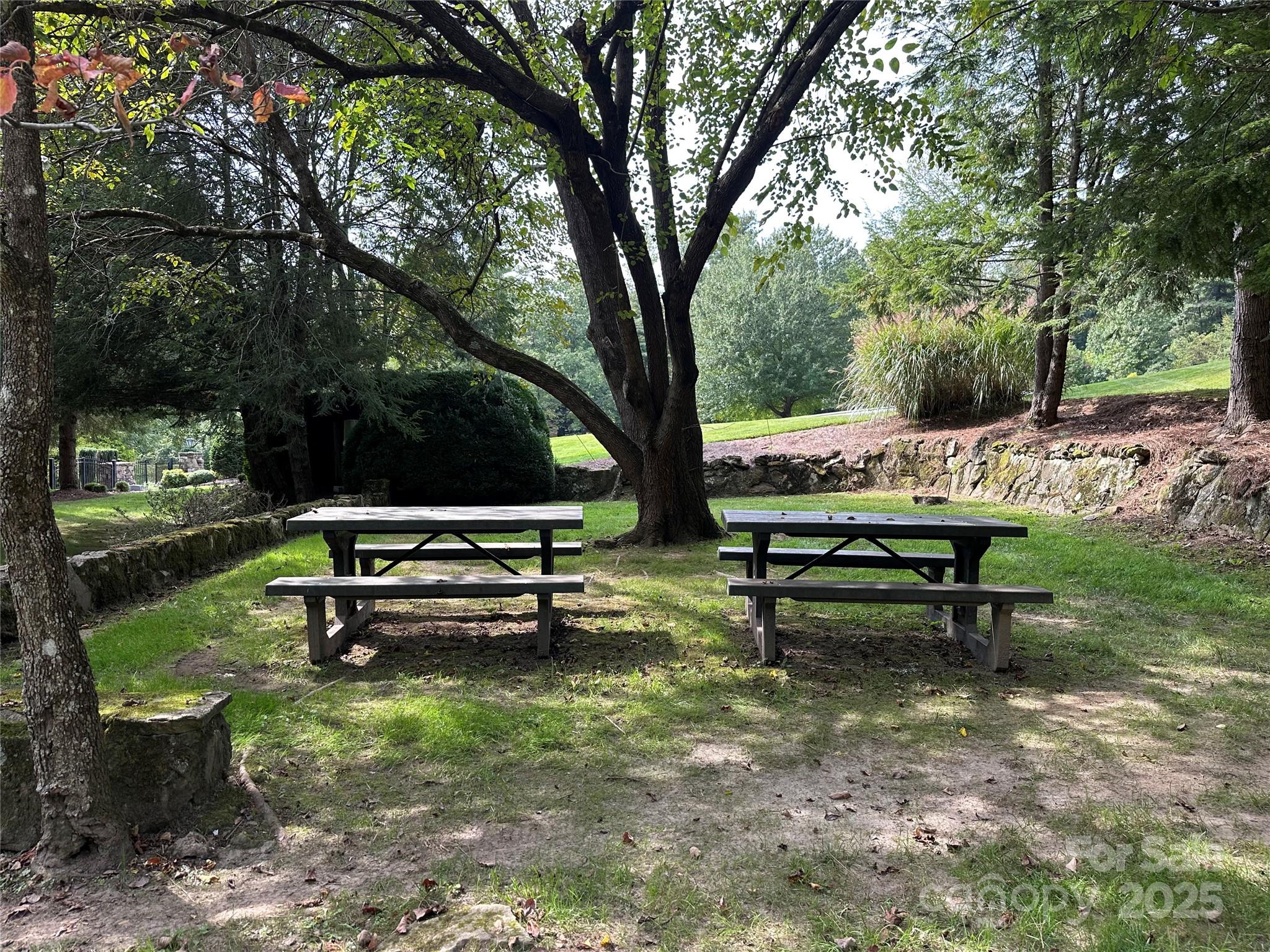 109 Ladys Fern Trail Property Photo 18