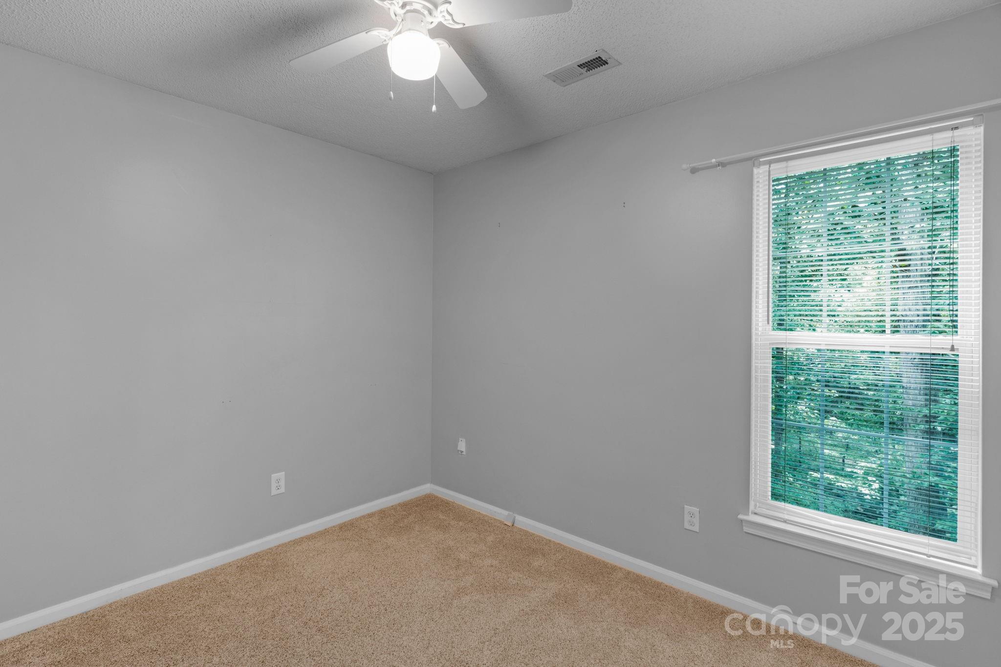 923 Buttermilk Lane Property Photo 31