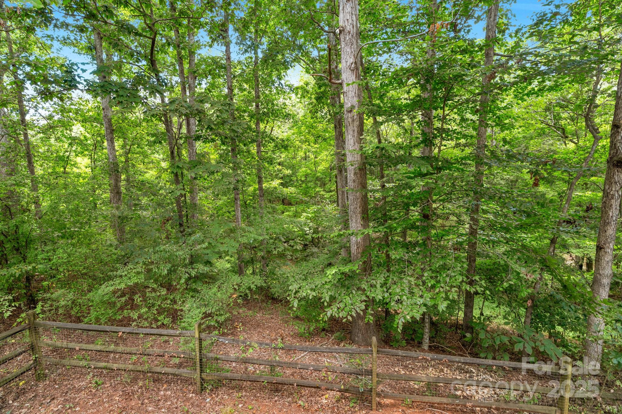 923 Buttermilk Lane Property Photo 39
