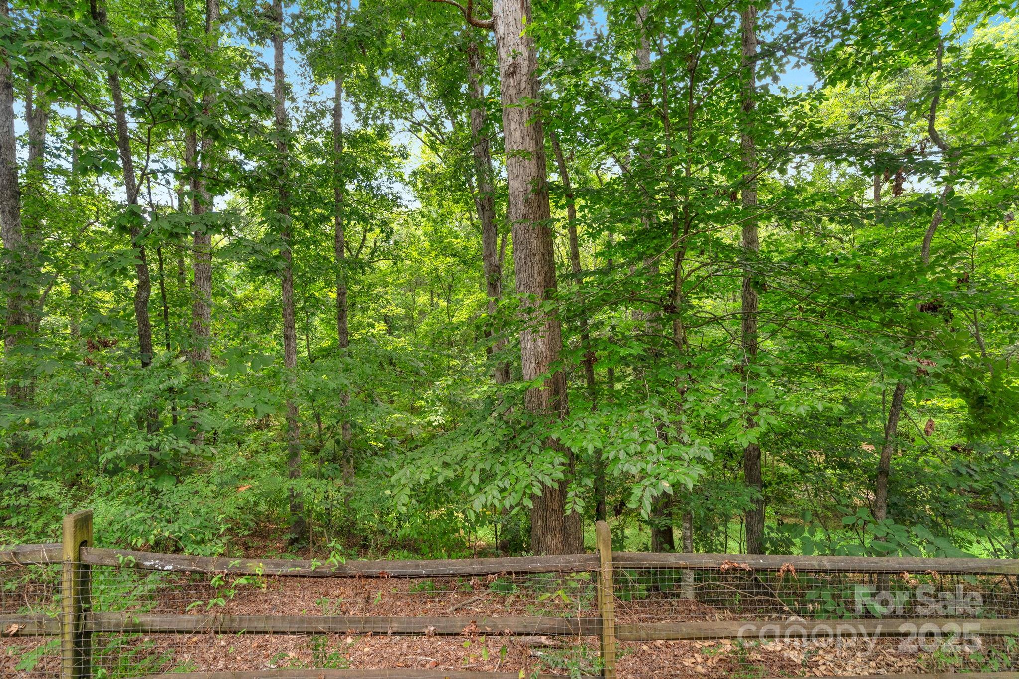 923 Buttermilk Lane Property Photo 42
