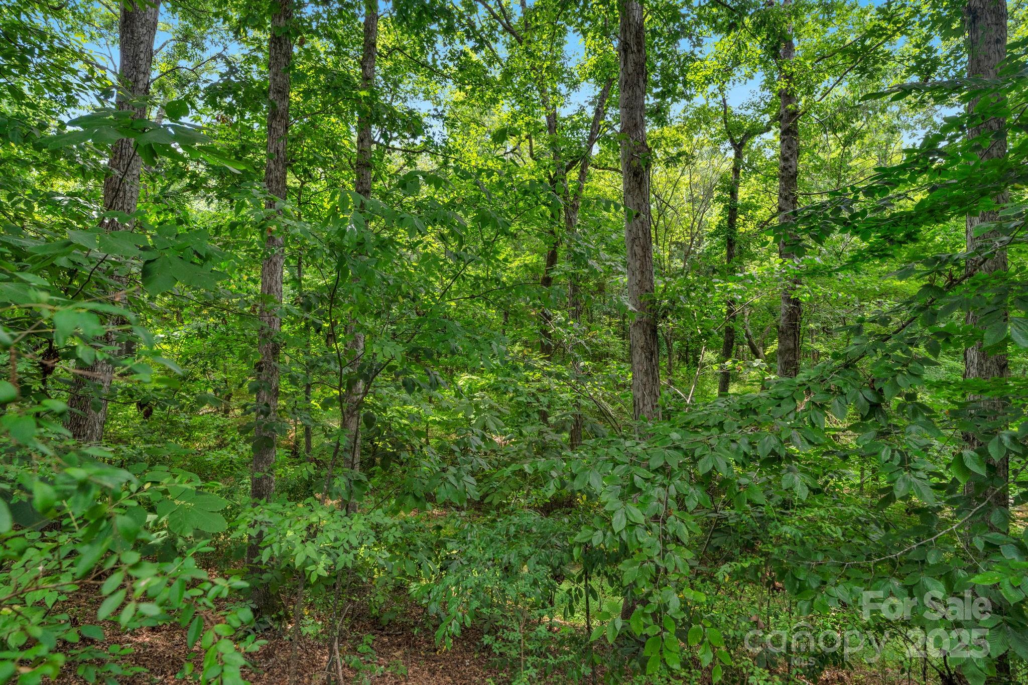 923 Buttermilk Lane Property Photo 48