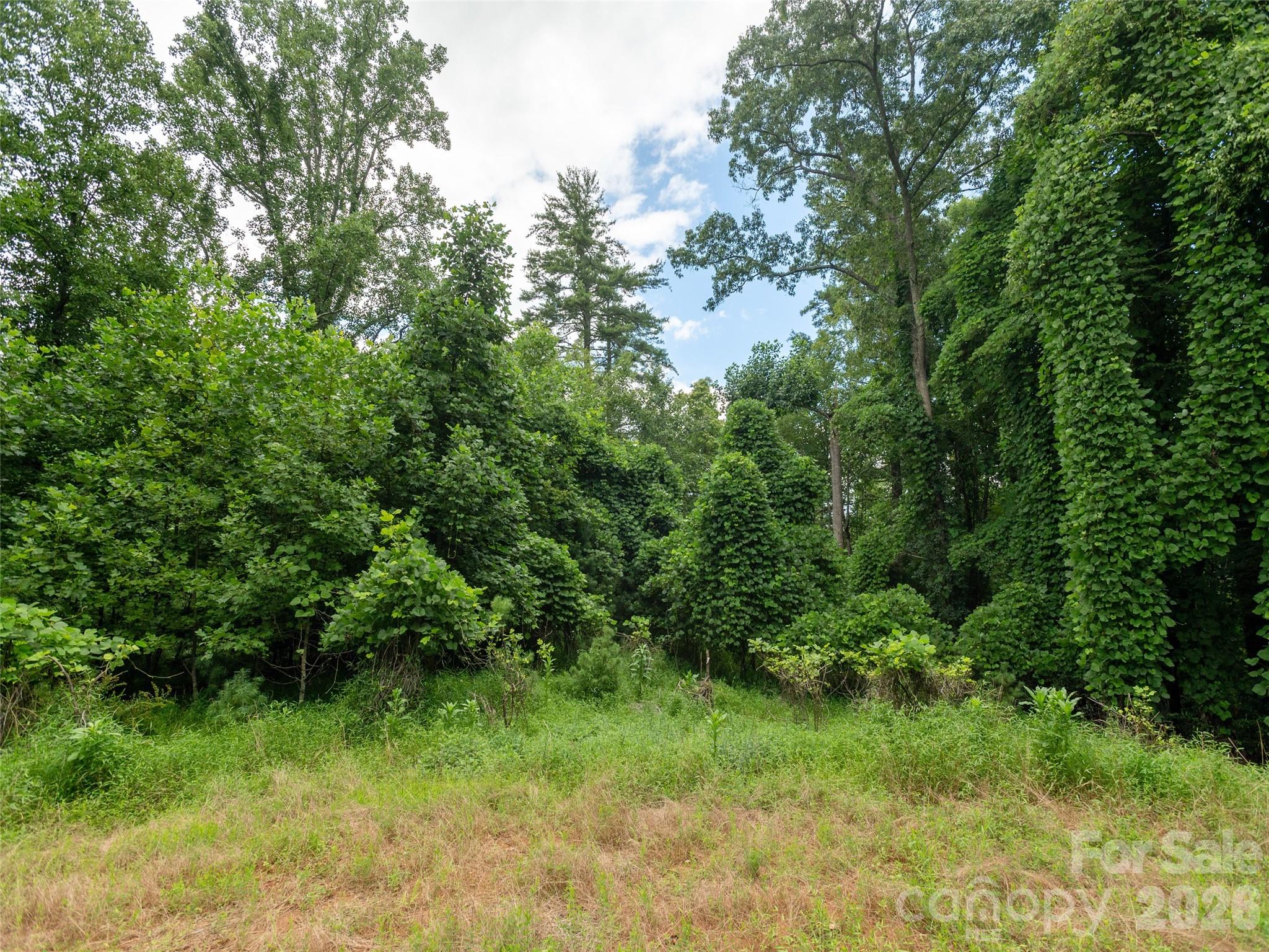 0 Willow Falls Lane Property Photo 4