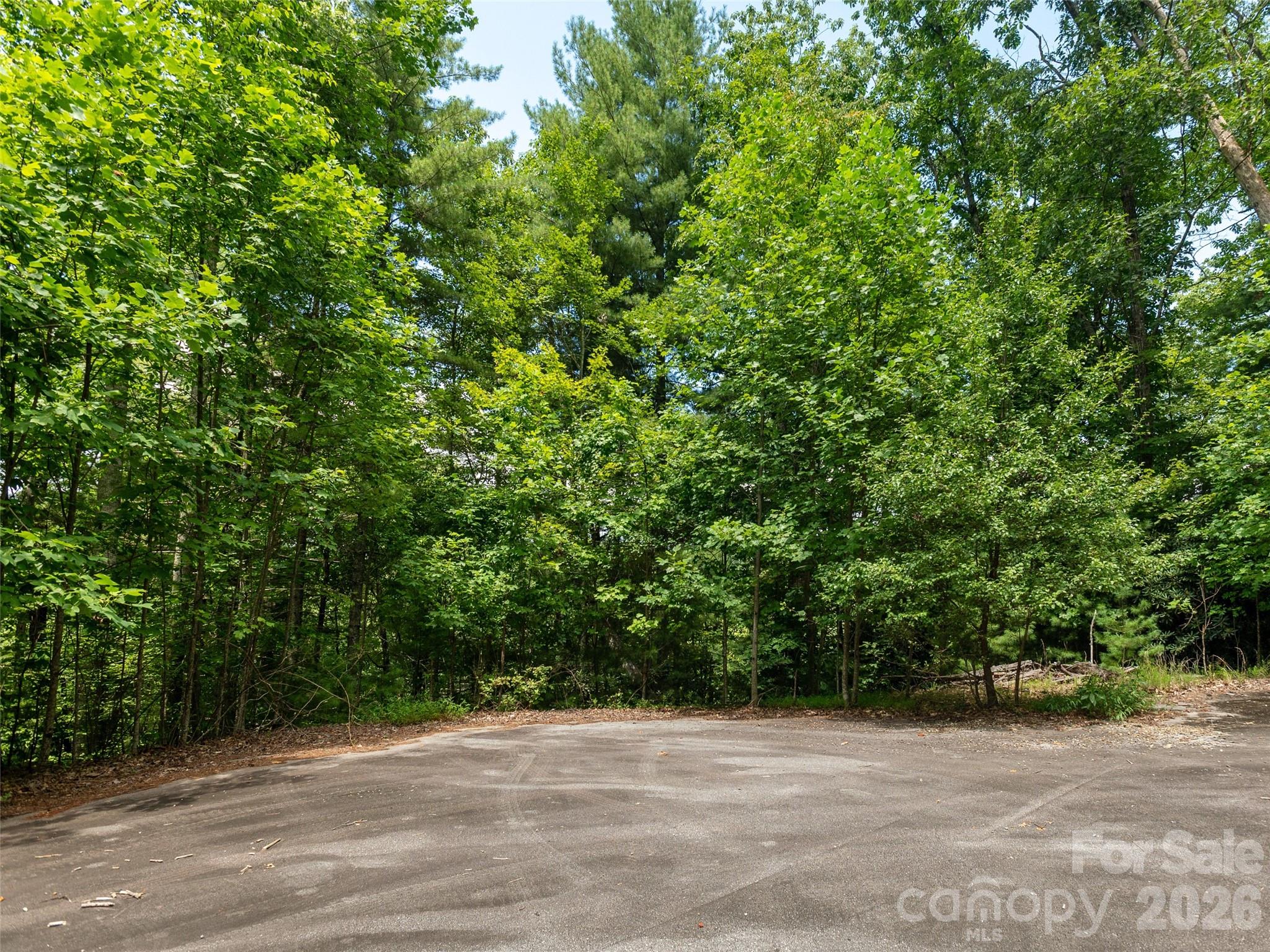 0 Willow Falls Lane Property Photo 7