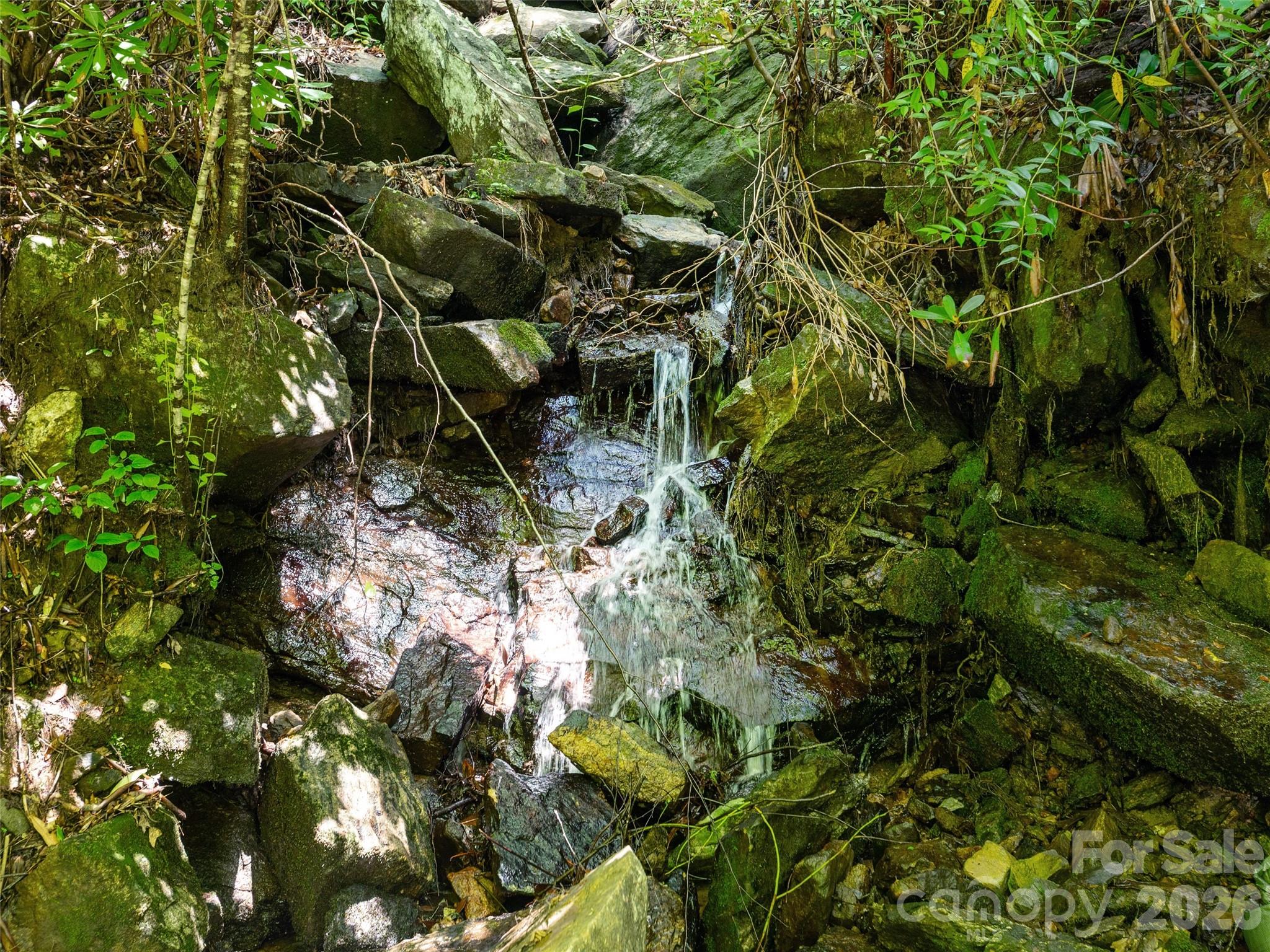 0 Willow Falls Lane Property Photo 8