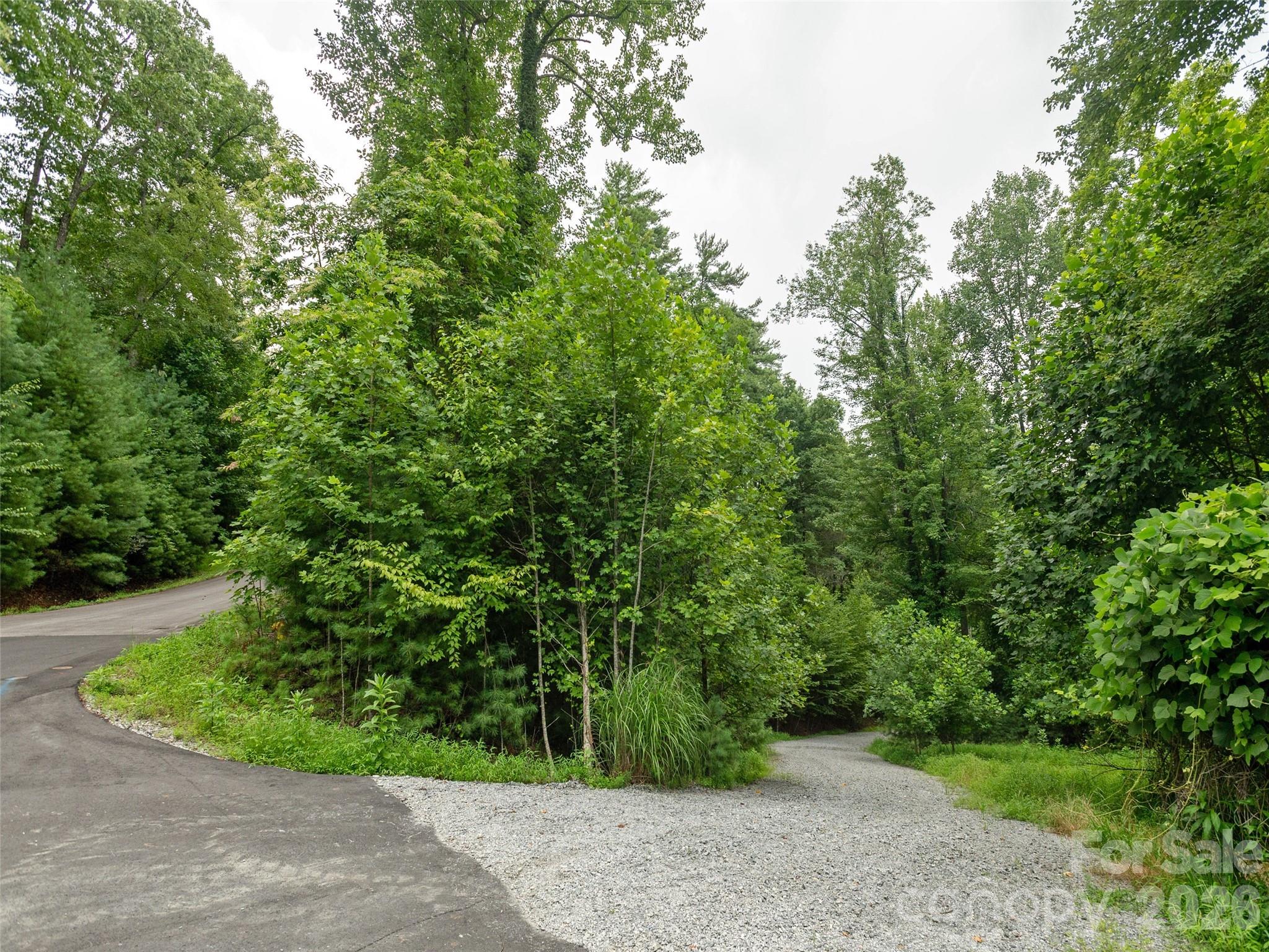 0 Willow Falls Lane Property Photo 9