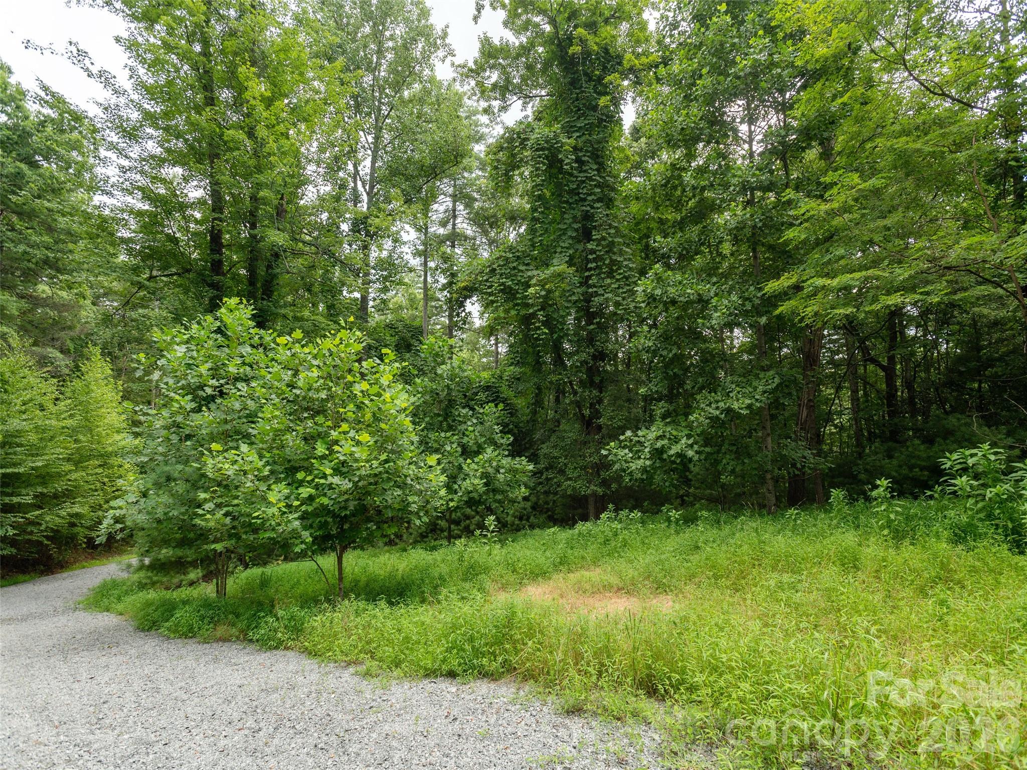 0 Willow Falls Lane Property Photo 10