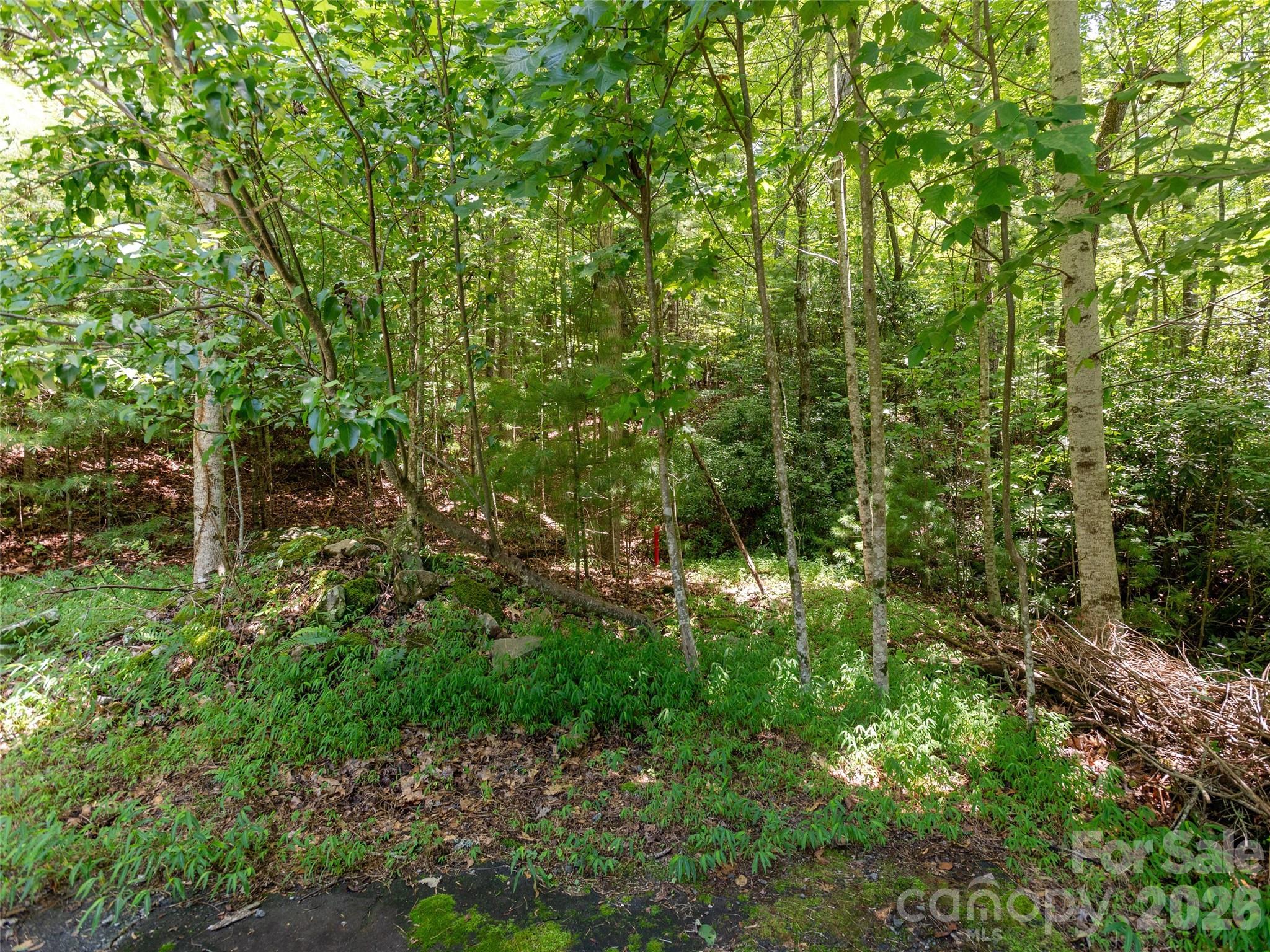 0 Willow Falls Lane Property Photo 14