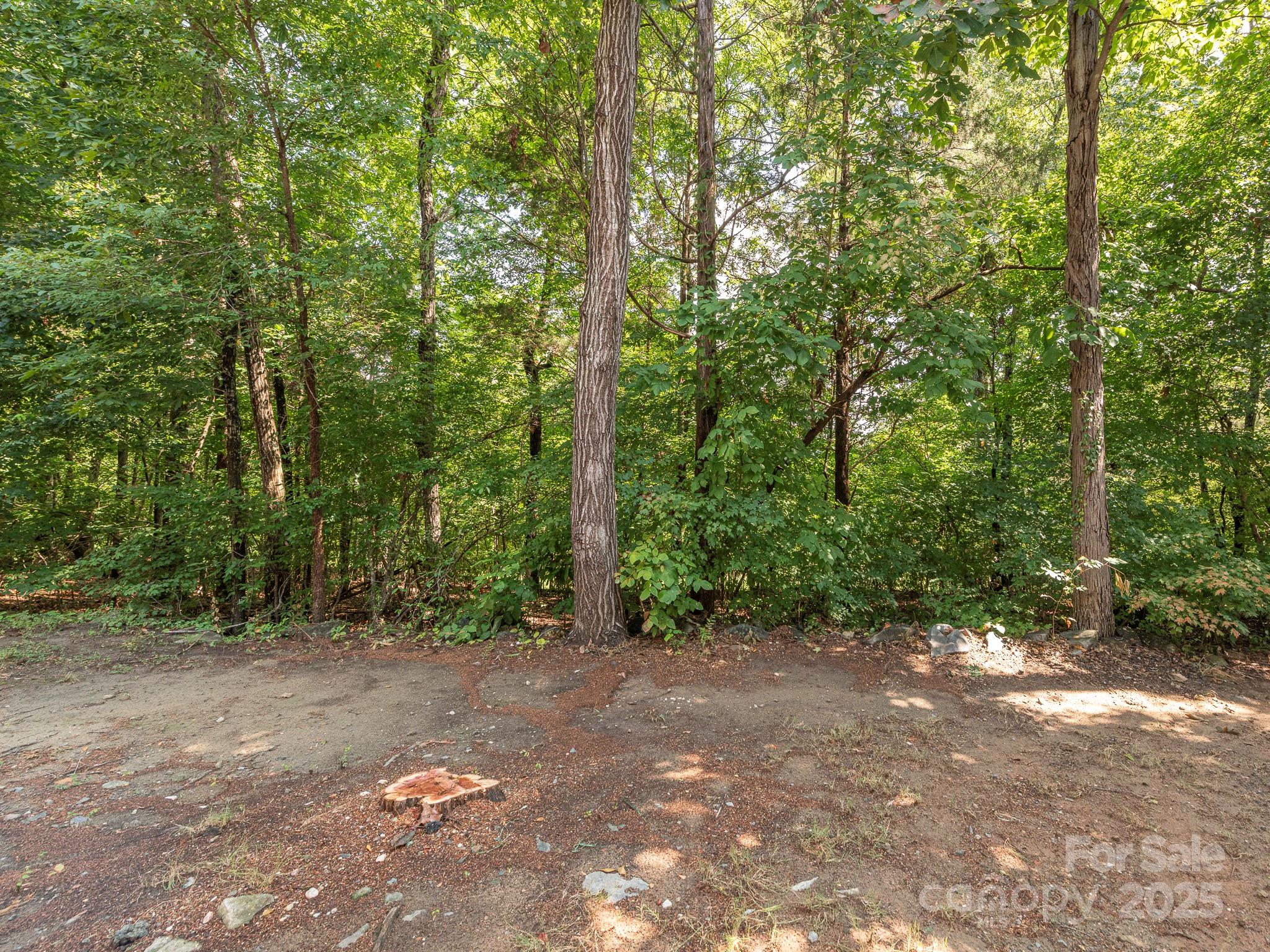 1554 Maypine Commons Way Property Photo 40