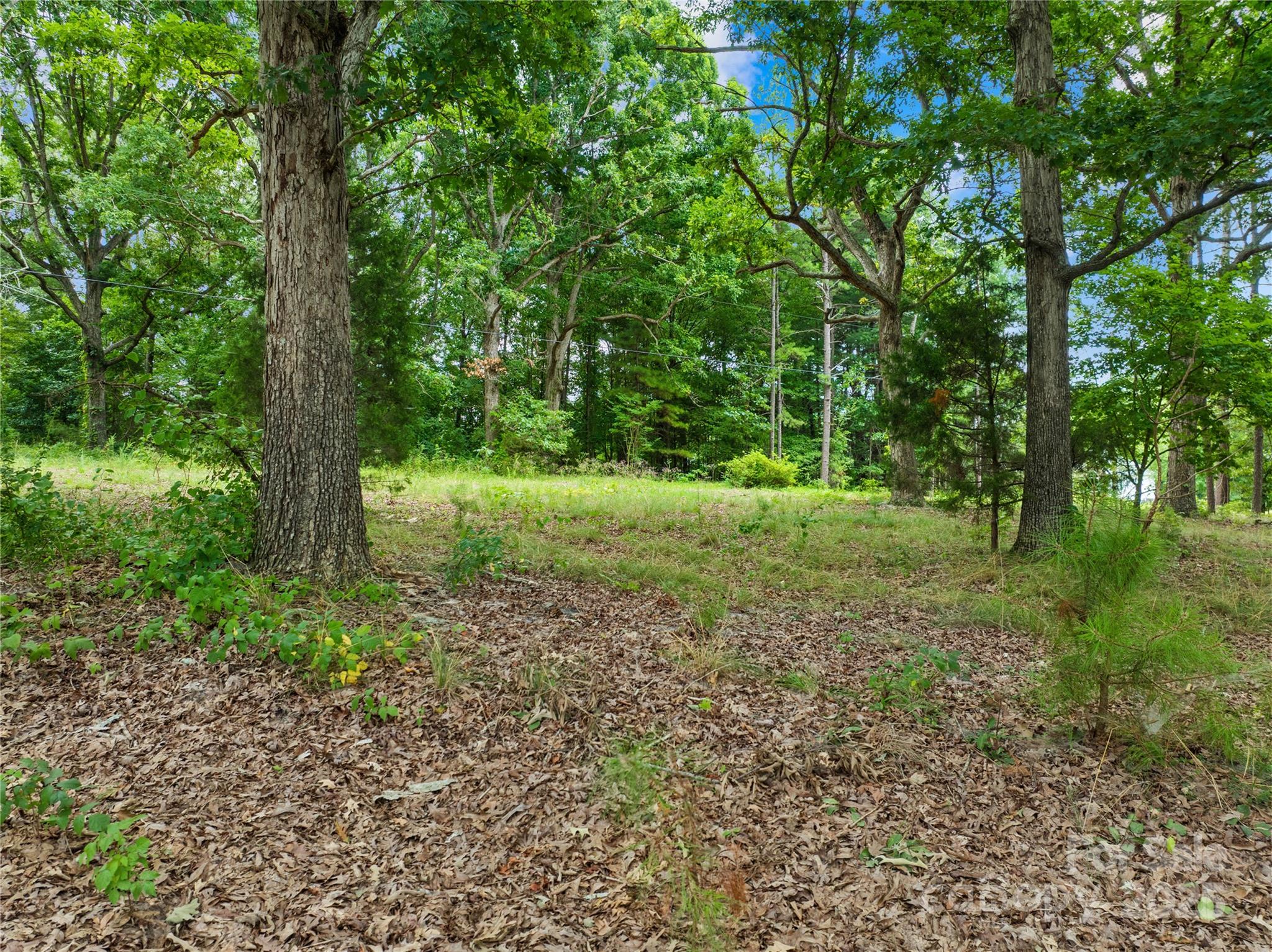3624 Crow Road Property Photo 7
