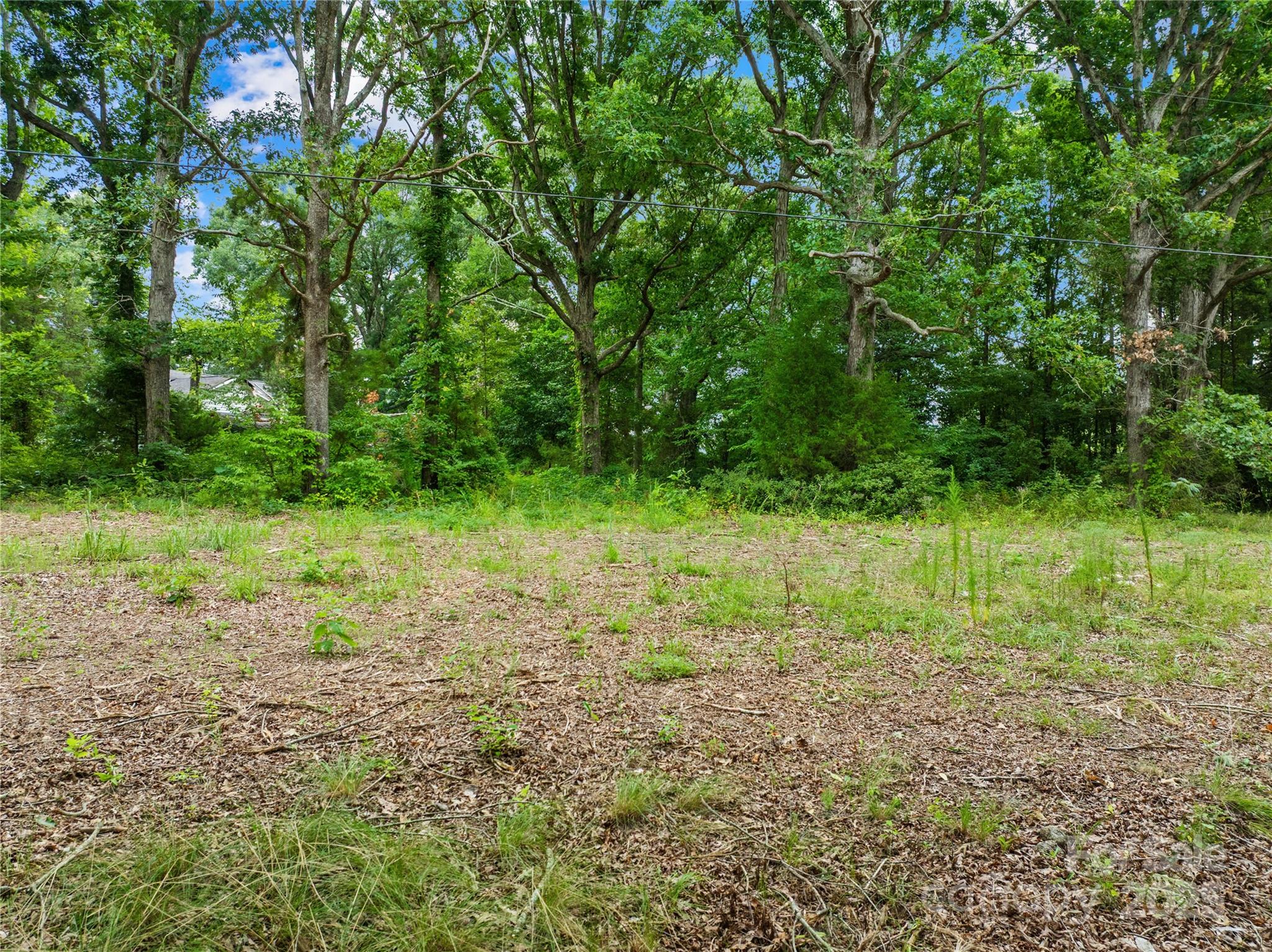 3624 Crow Road Property Photo 8