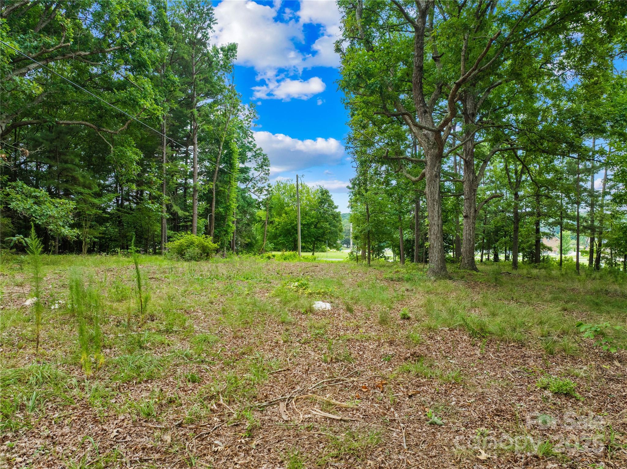3624 Crow Road Property Photo 9