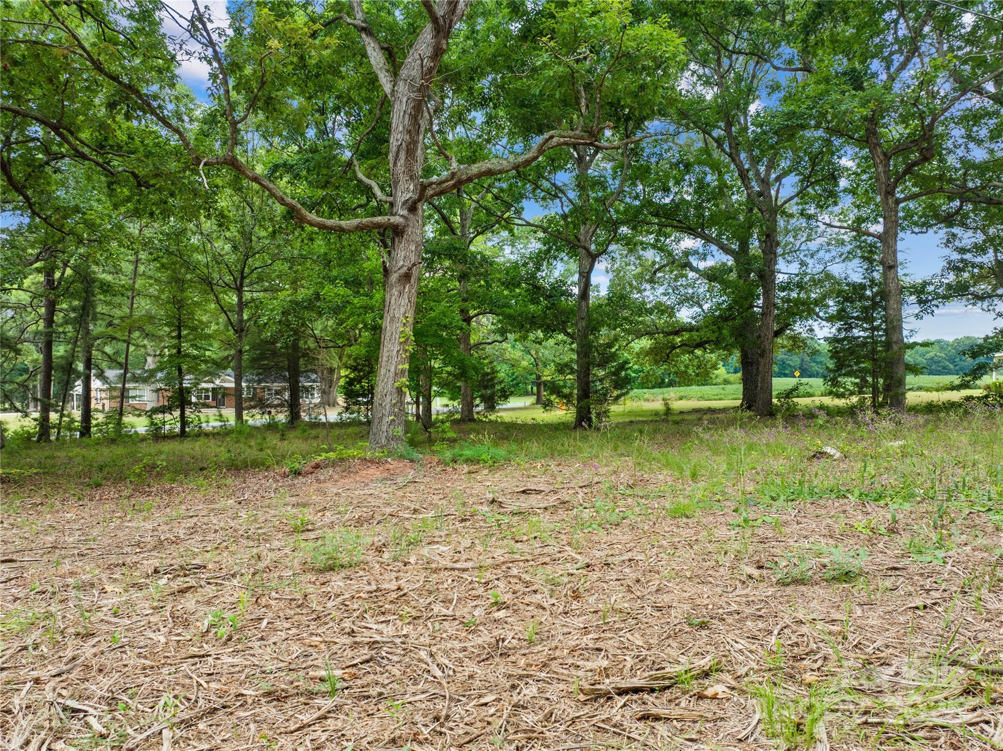 3624 Crow Road Property Photo 10