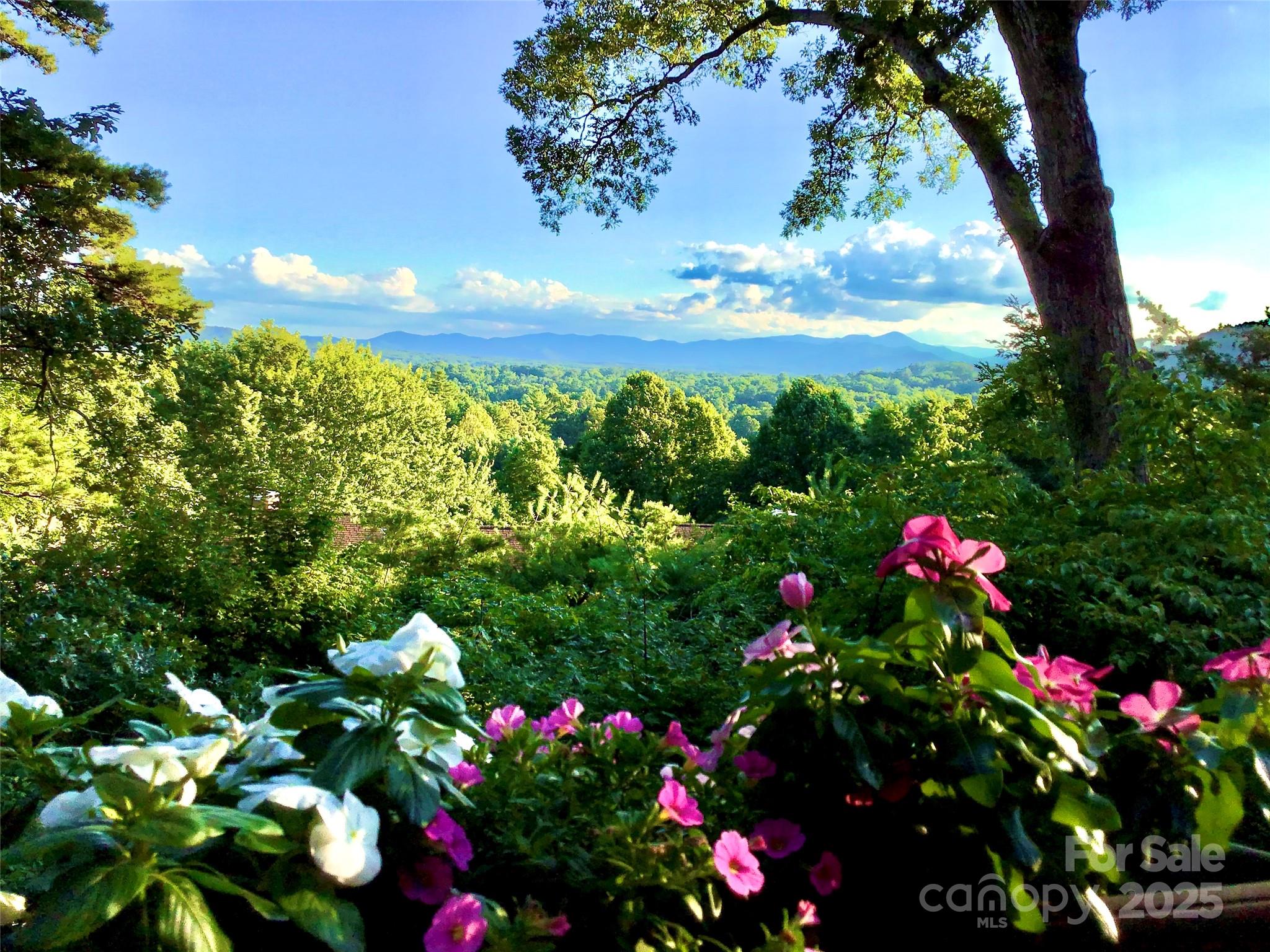 305 Piney Mountain Drive C-1 Property Photo 1