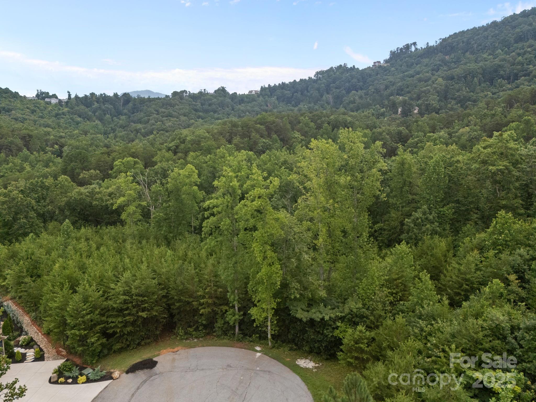 00000 Deer Jump Trail 351 Property Photo 4