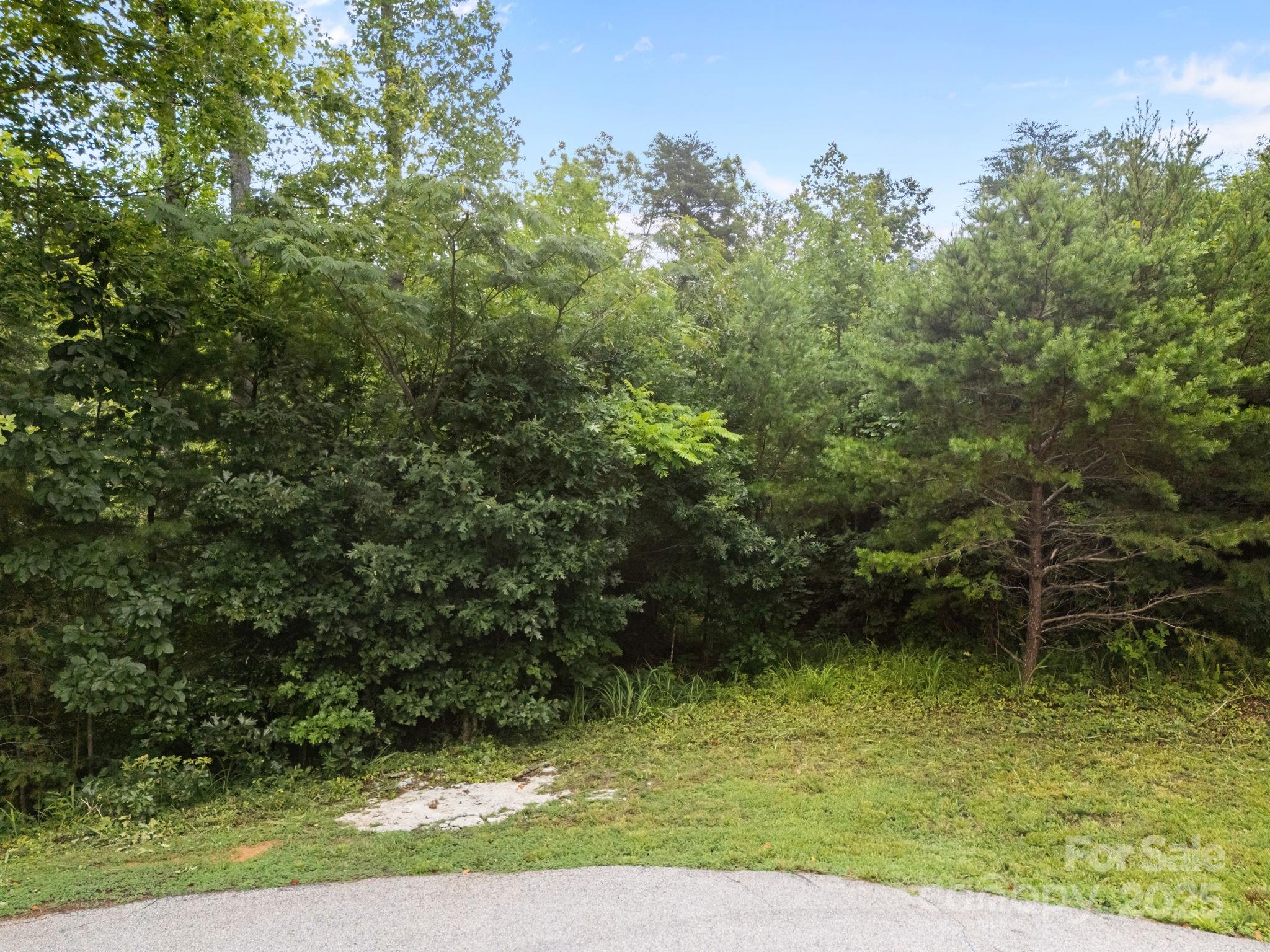 00000 Deer Jump Trail 351 Property Photo 5