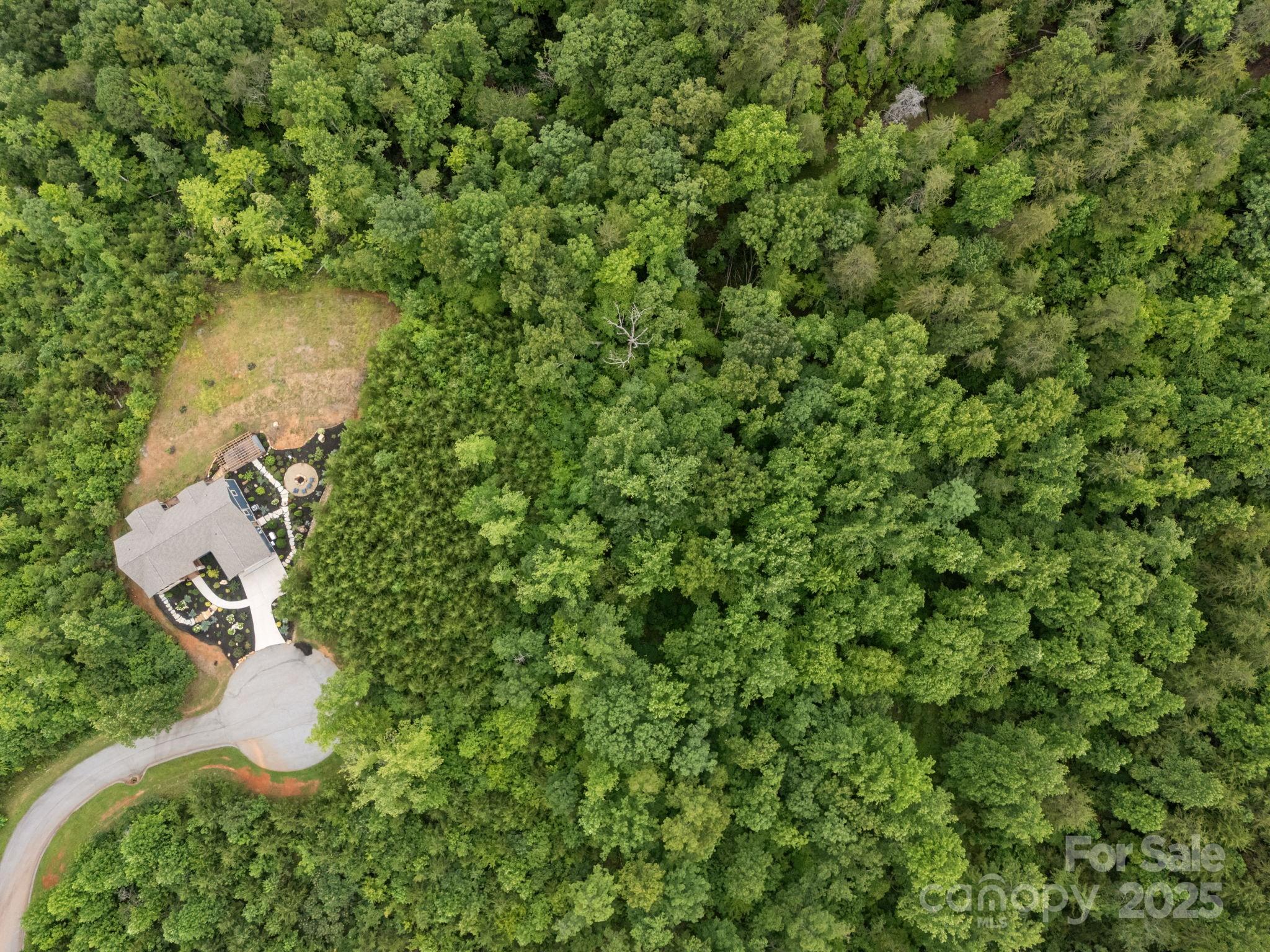 00000 Deer Jump Trail 351 Property Photo 6