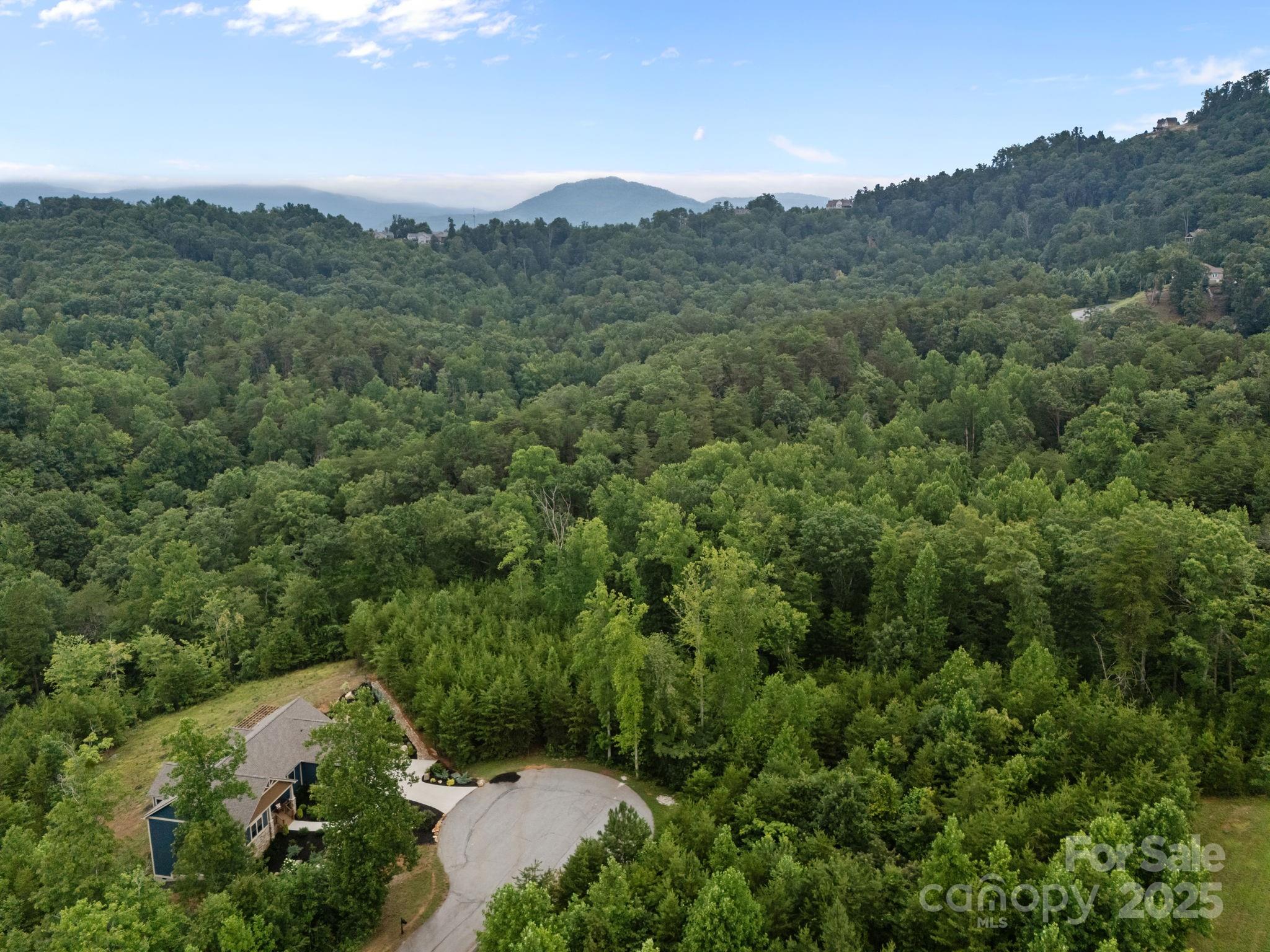 00000 Deer Jump Trail 351 Property Photo 7
