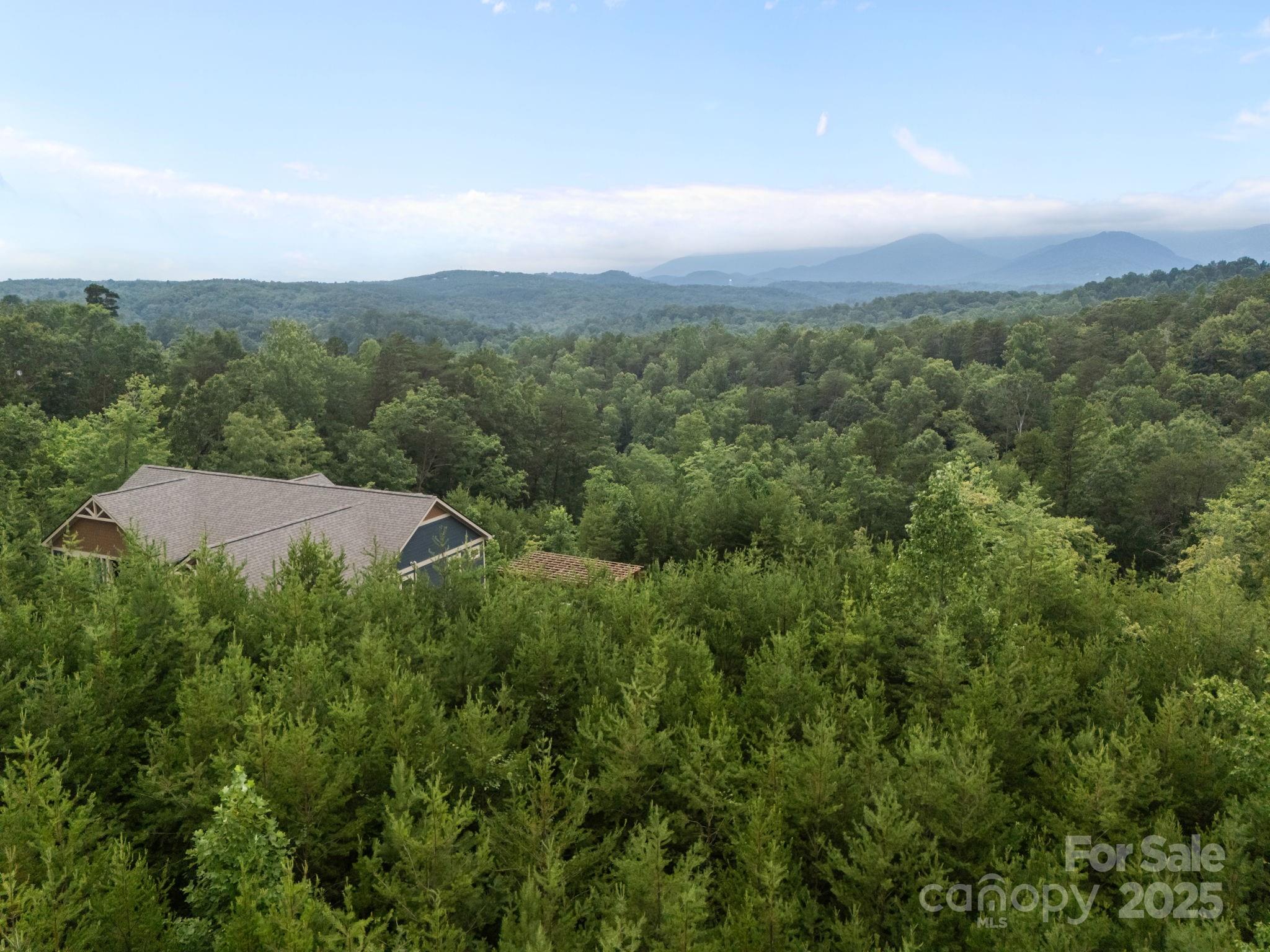 00000 Deer Jump Trail 351 Property Photo 16