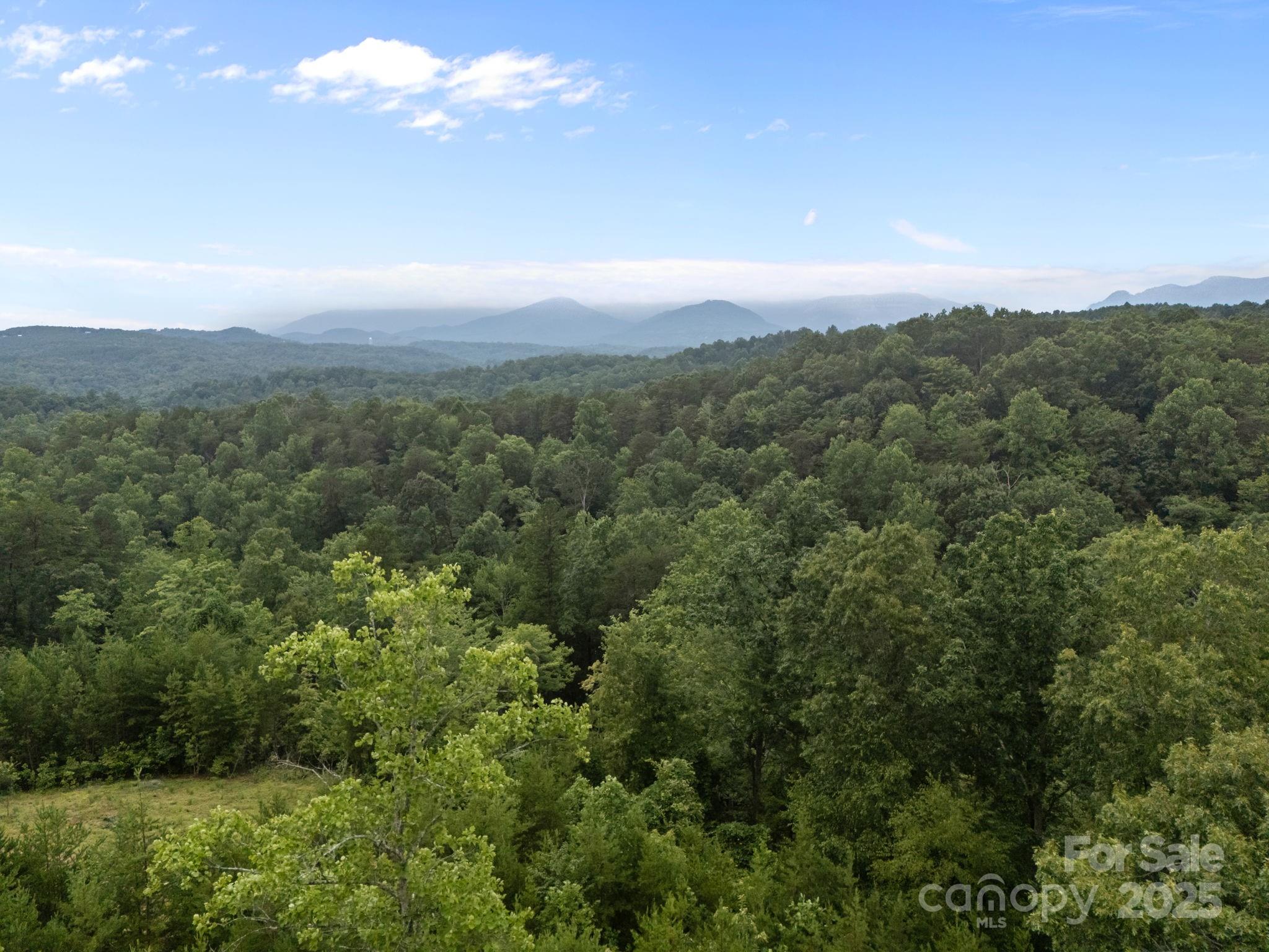 00000 Deer Jump Trail 351 Property Photo 17