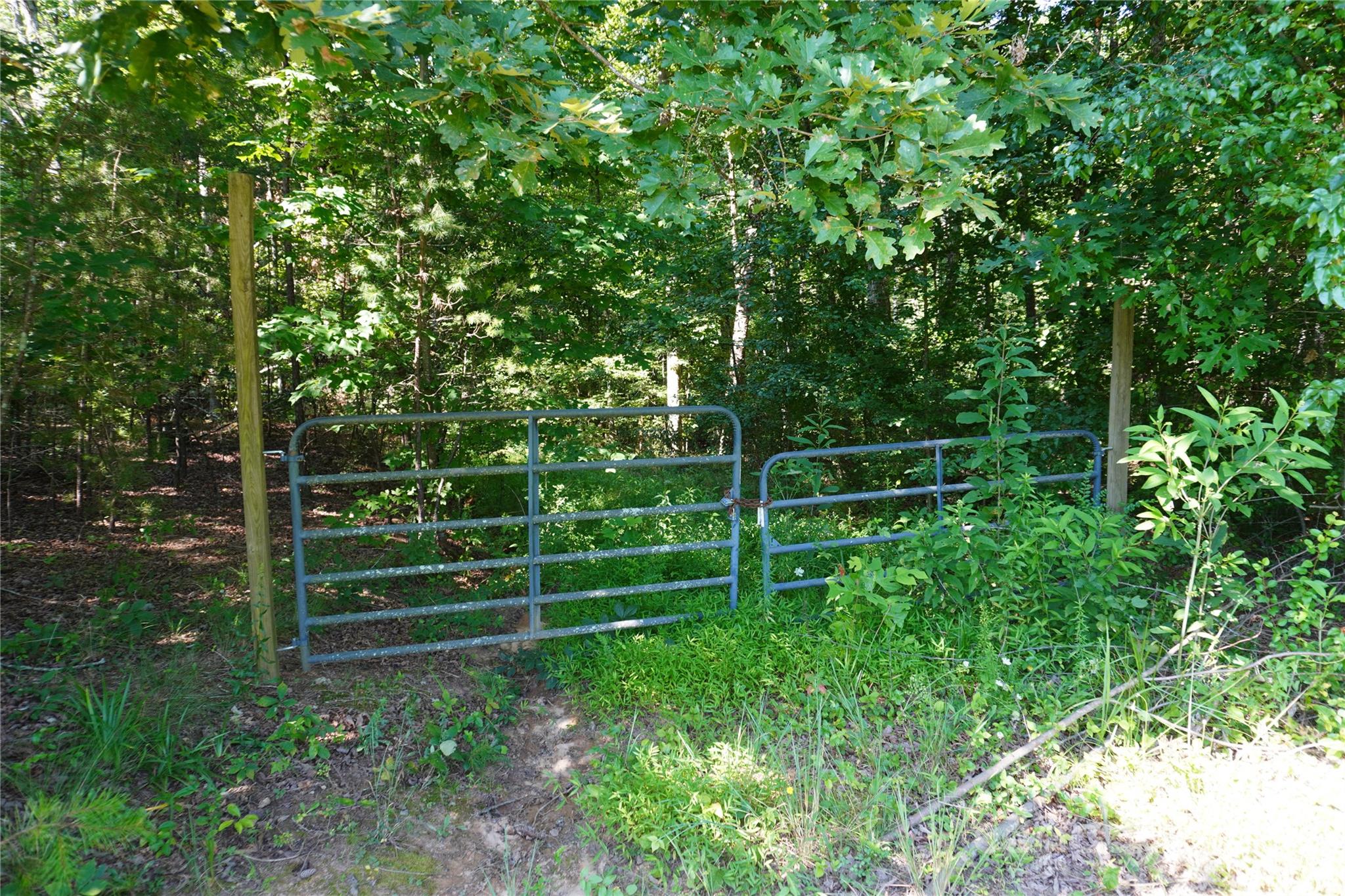 2899 Golden Bell Lane Property Photo 2