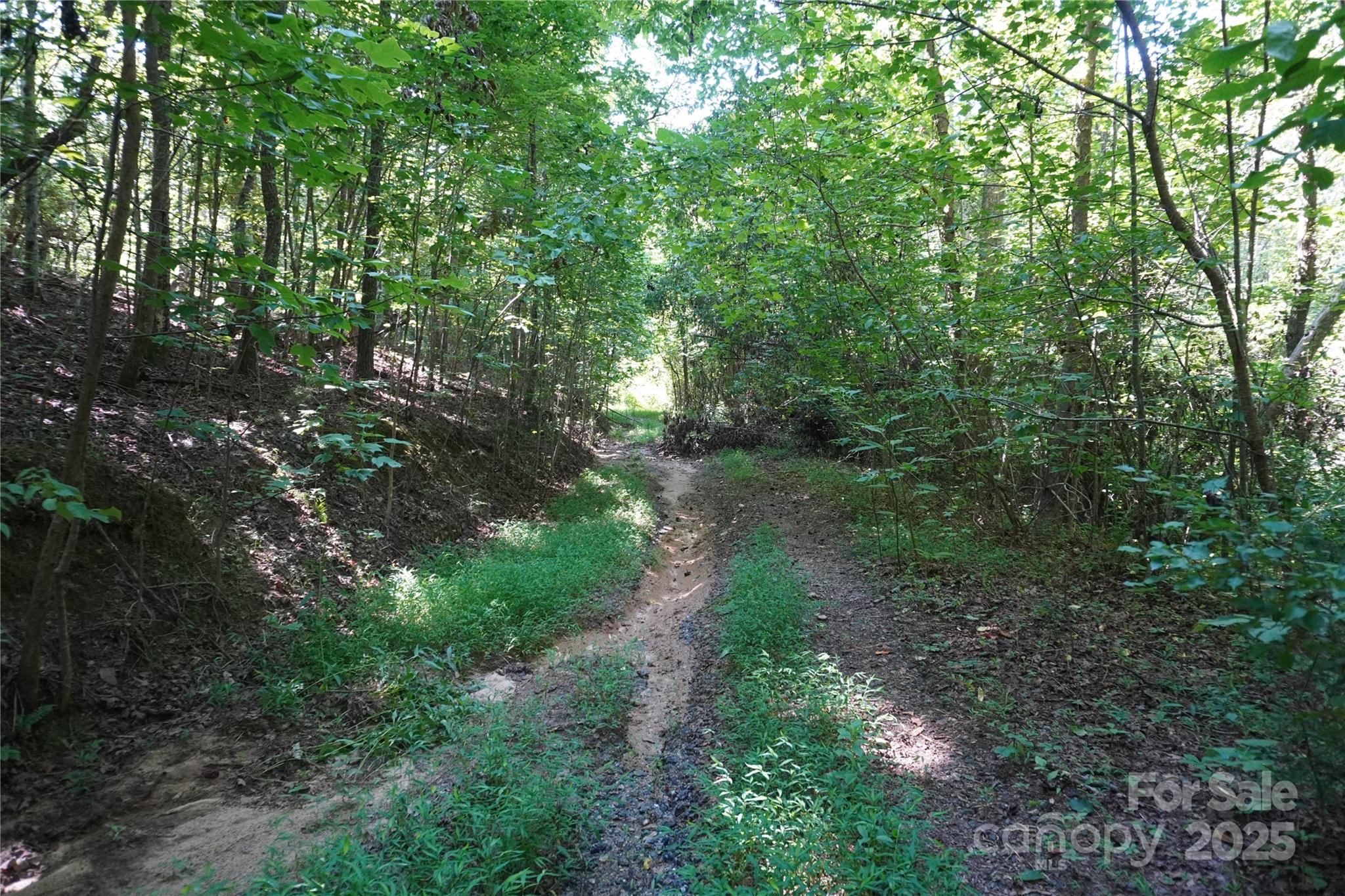 2899 Golden Bell Lane Property Photo 4