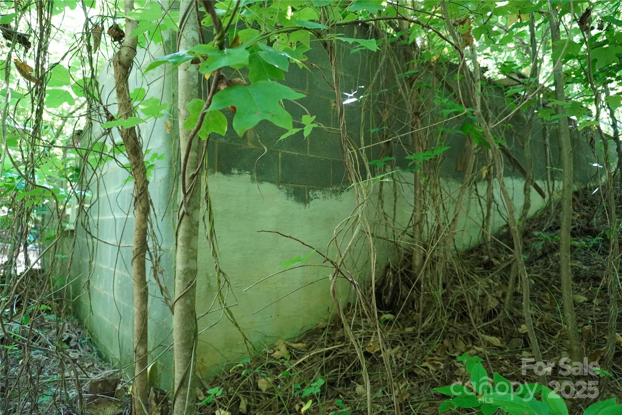2899 Golden Bell Lane Property Photo 5