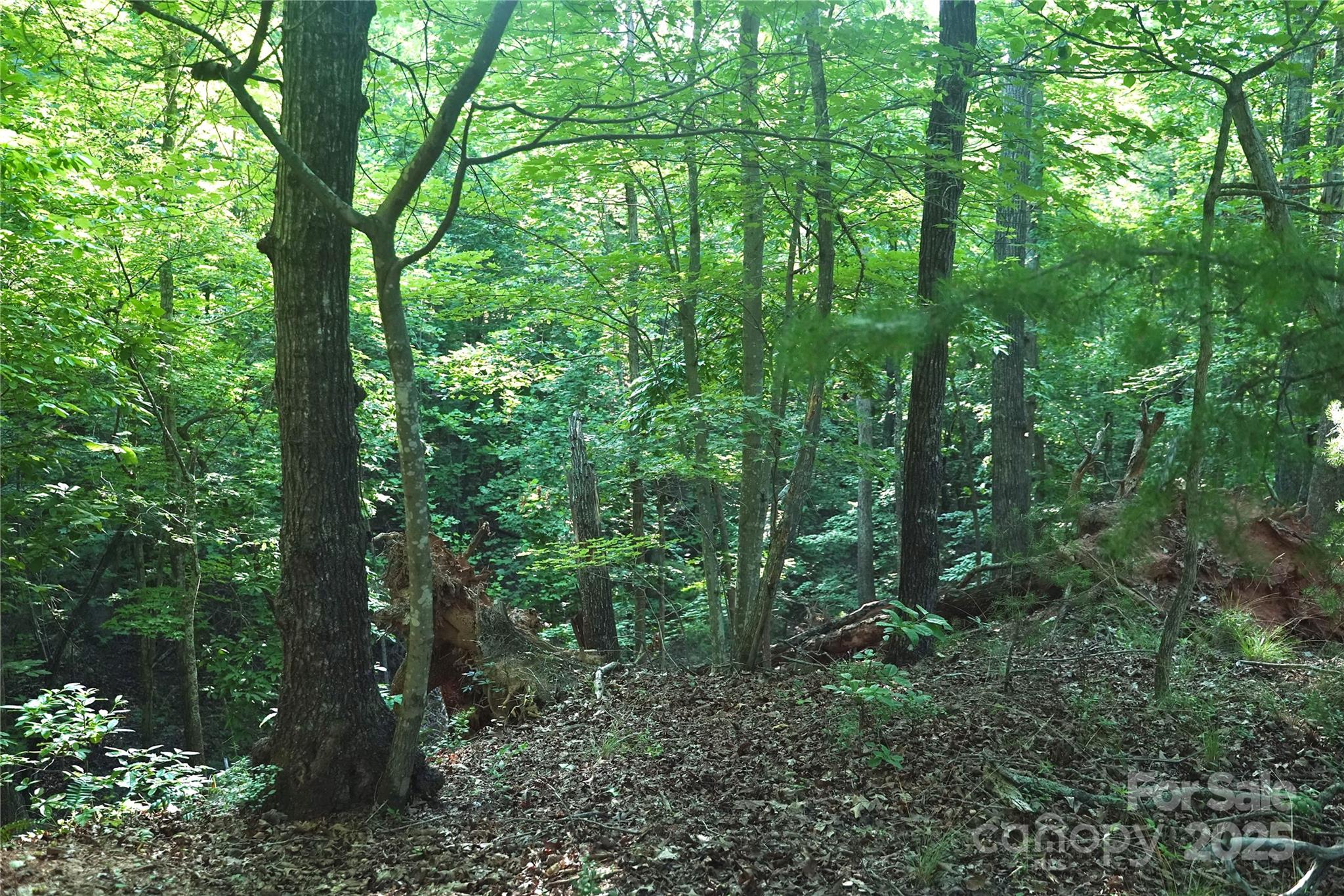 0 Parkway North None 13 Property Photo 2