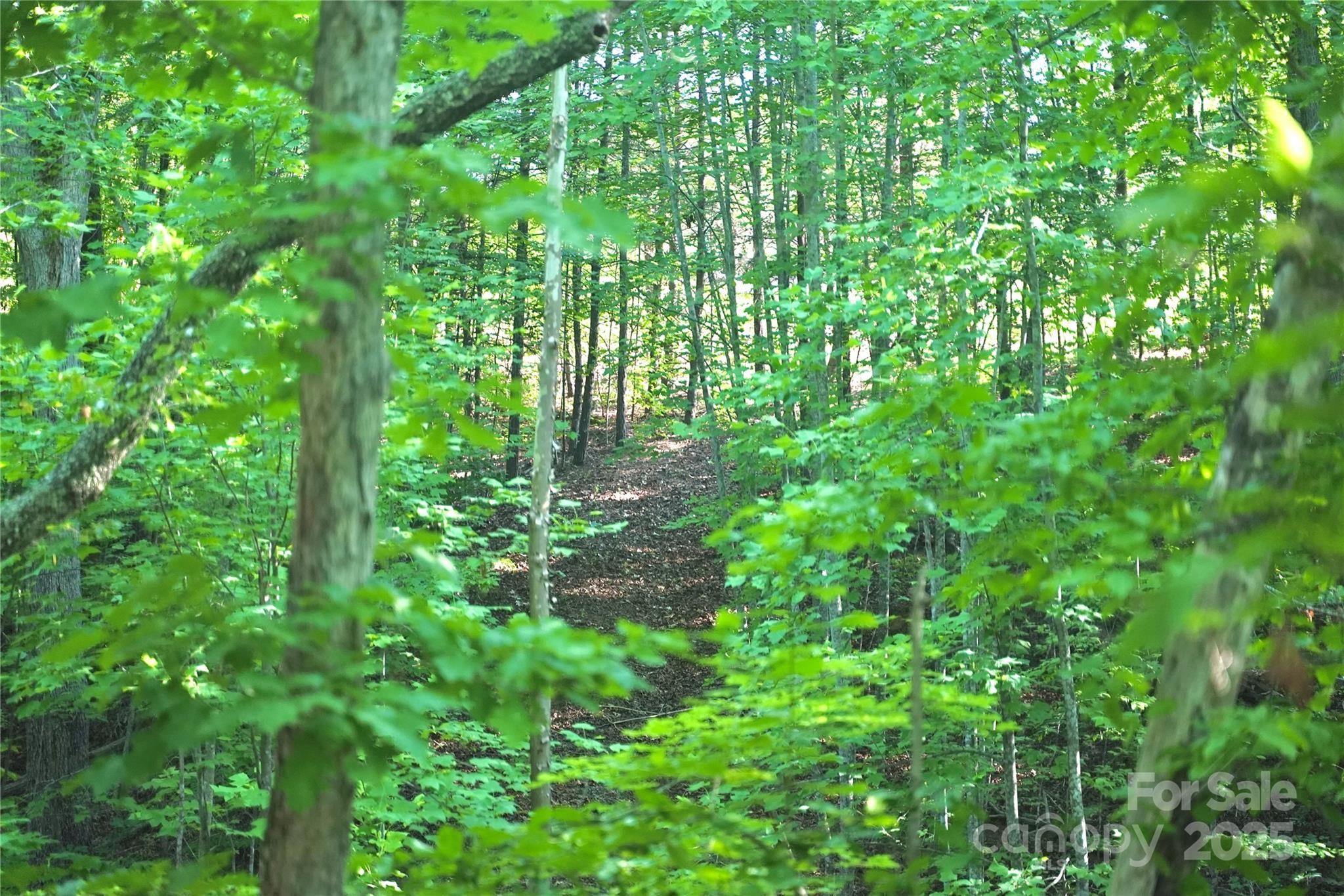 0 Parkway North None 13 Property Photo 5